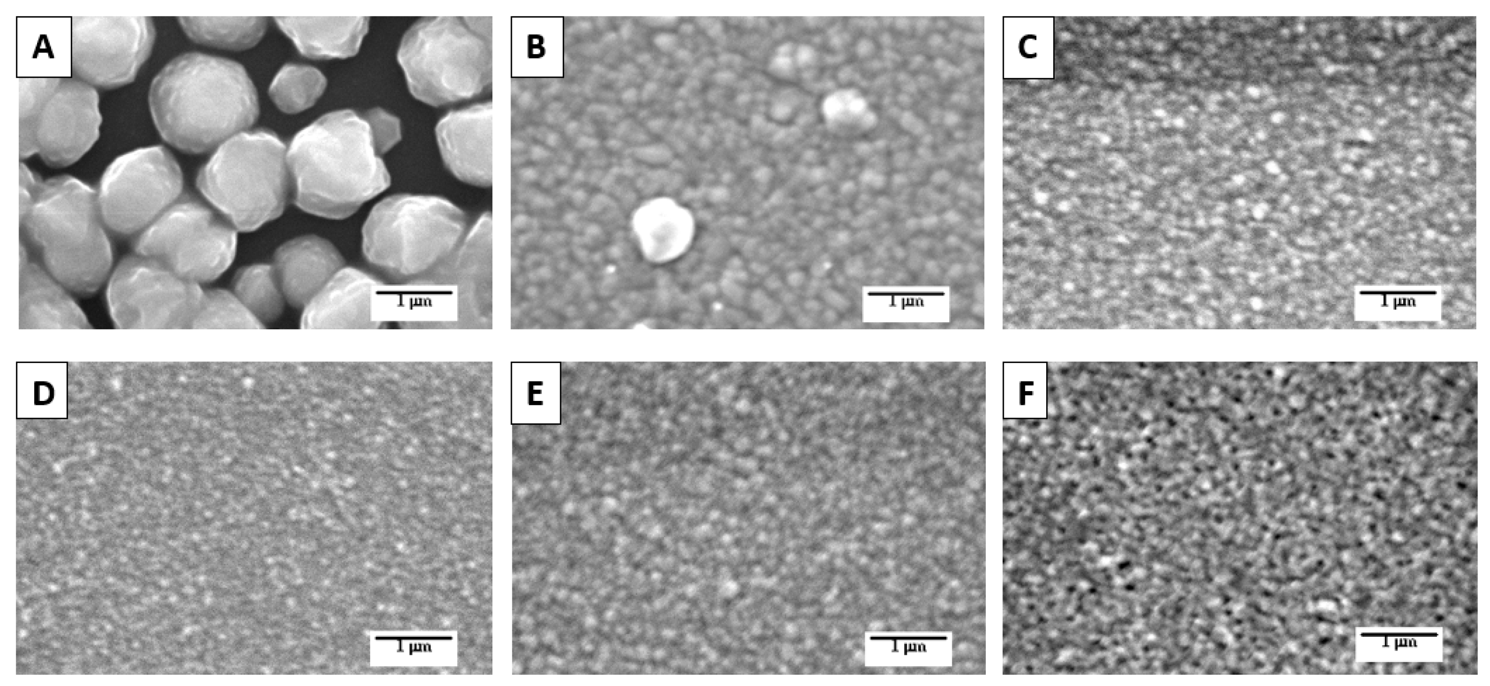 Coatings 12 00094 g001