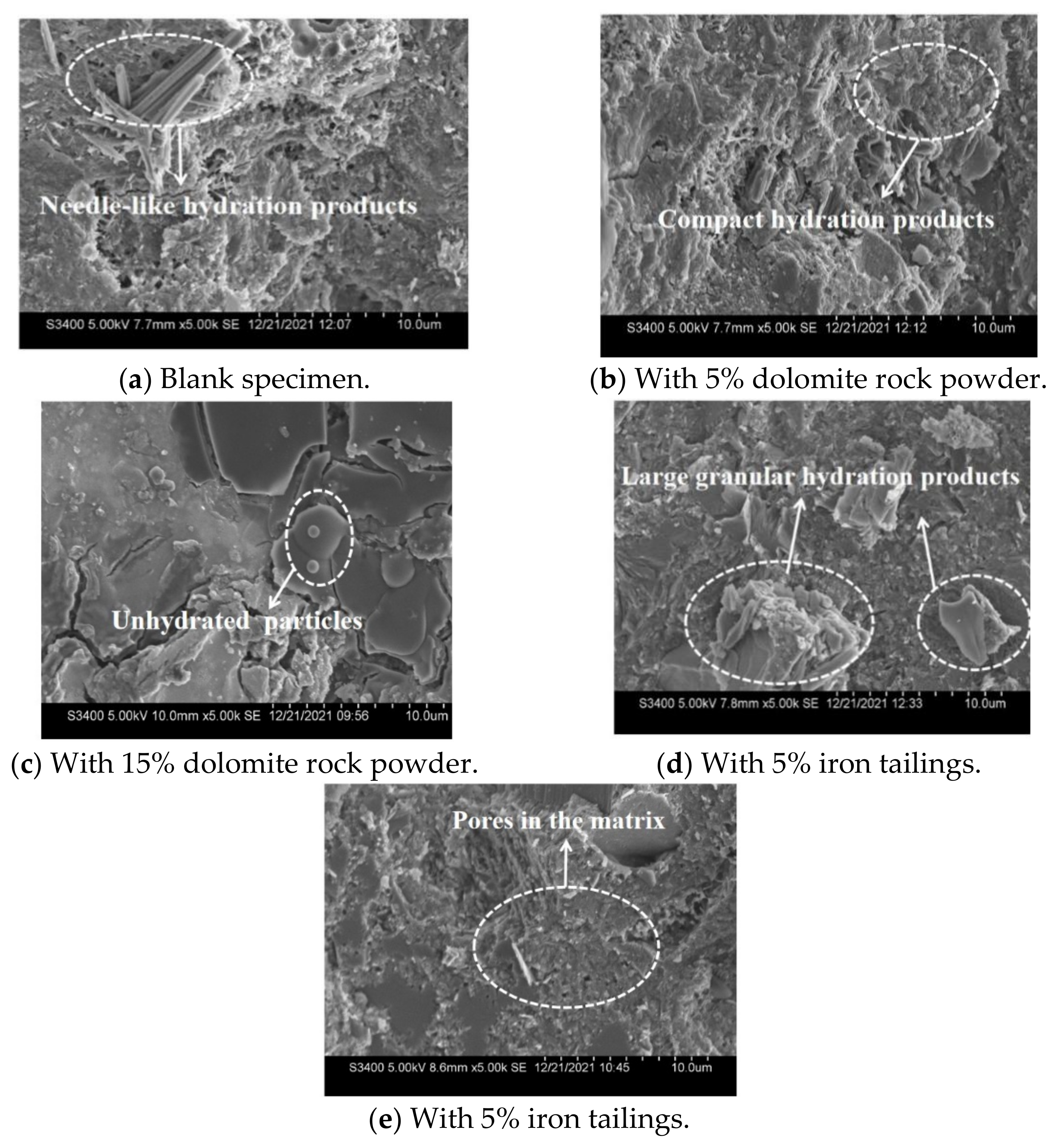 Coatings 12 00095 g006