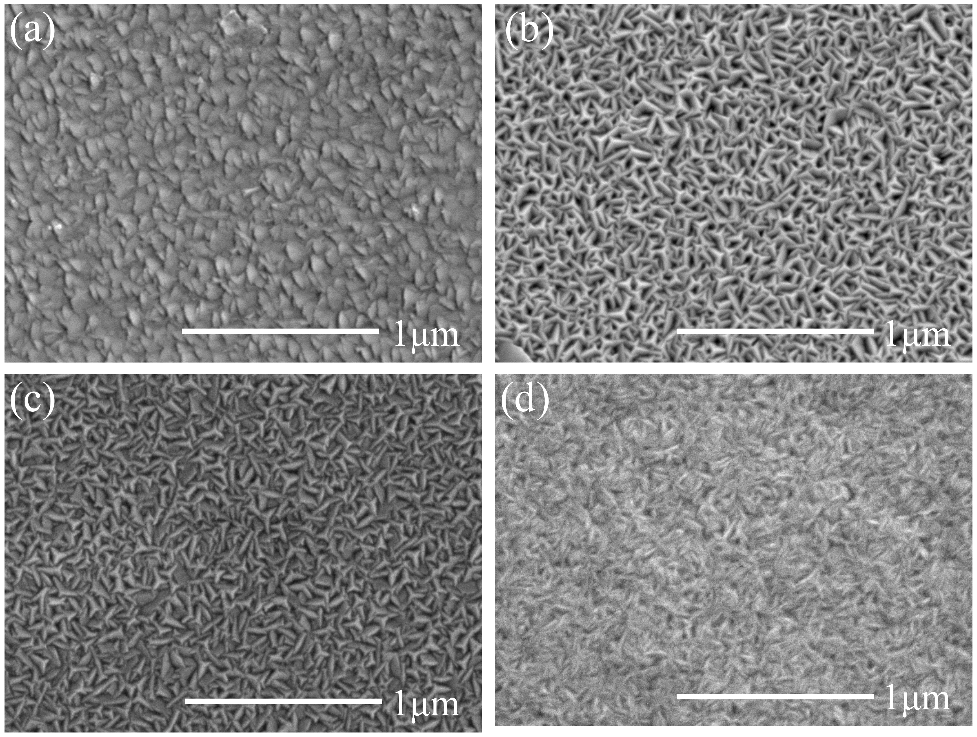 Coatings 12 00096 g003