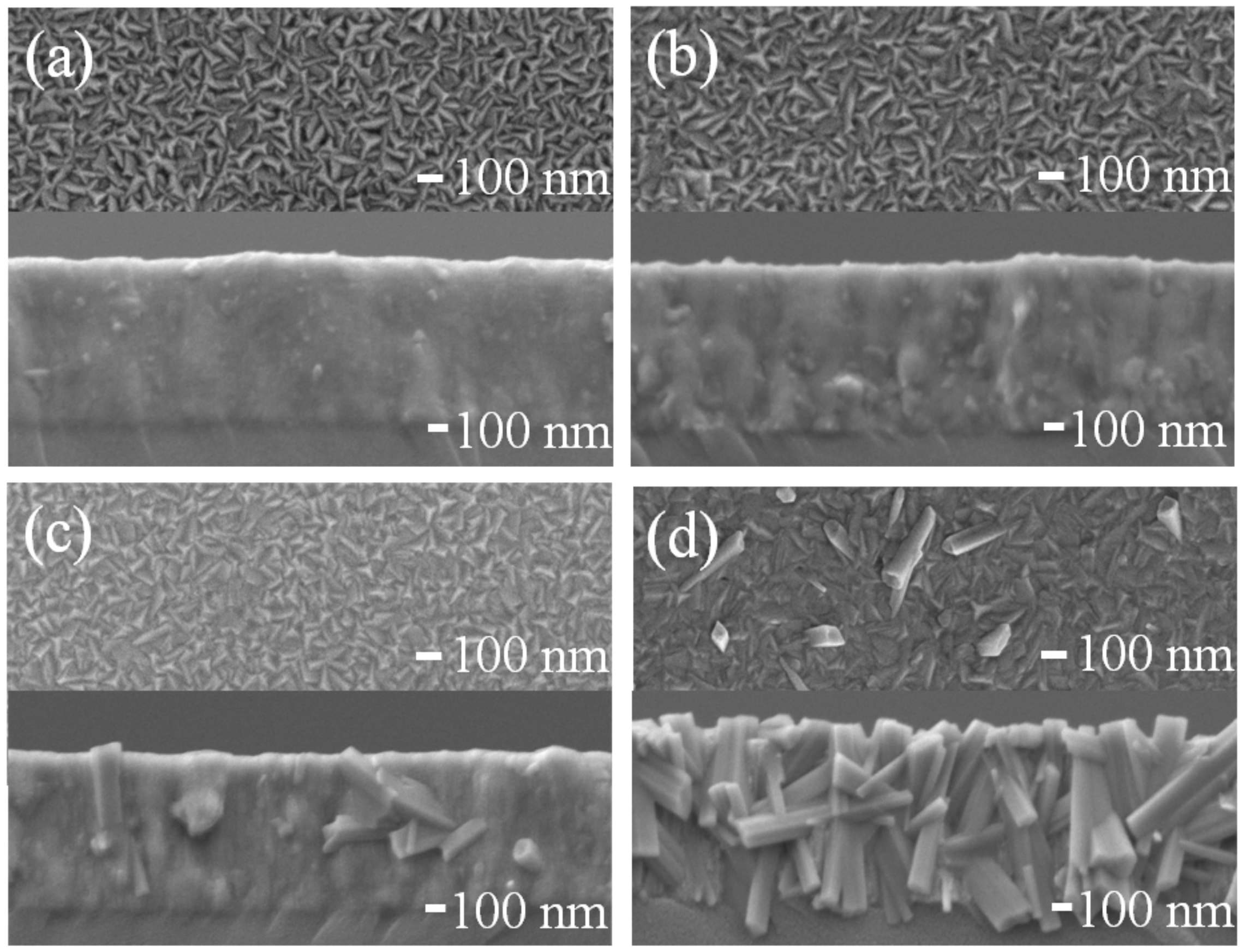 Coatings 12 00096 g007