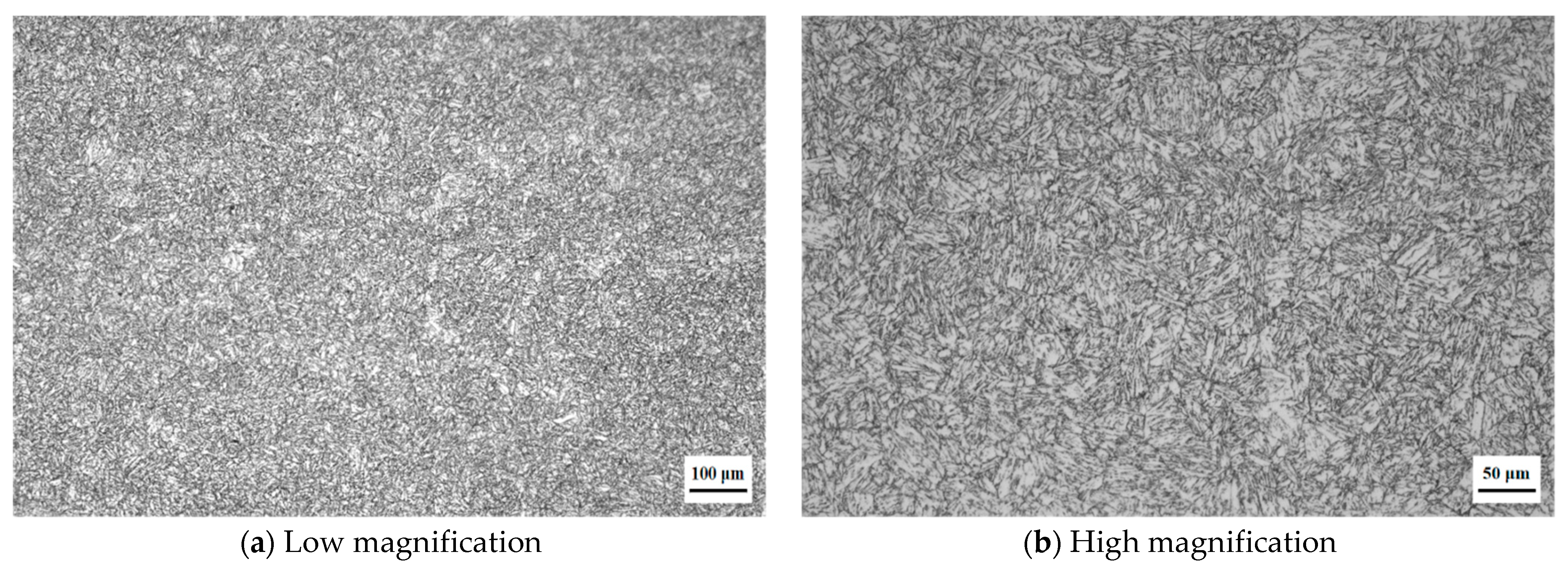Coatings 12 00127 g001