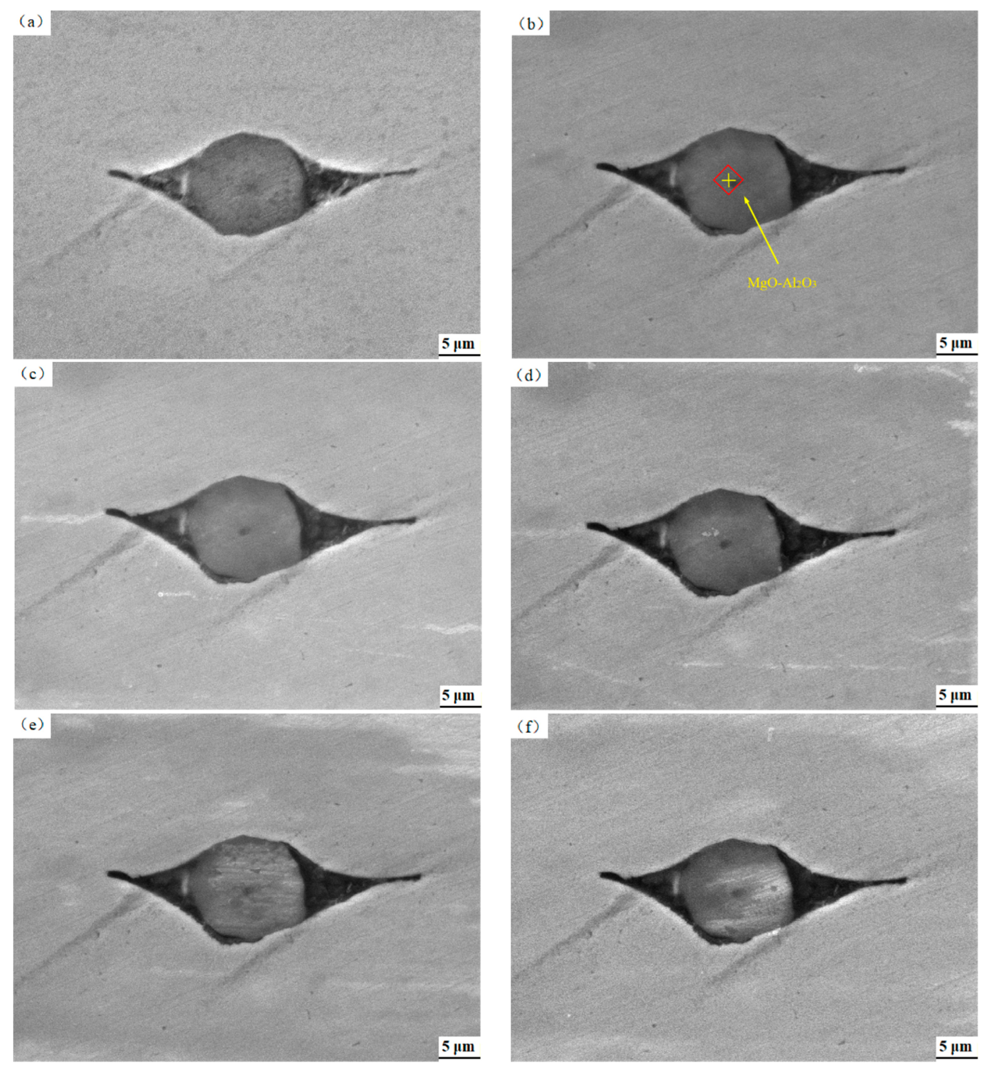 Coatings 12 00127 g002