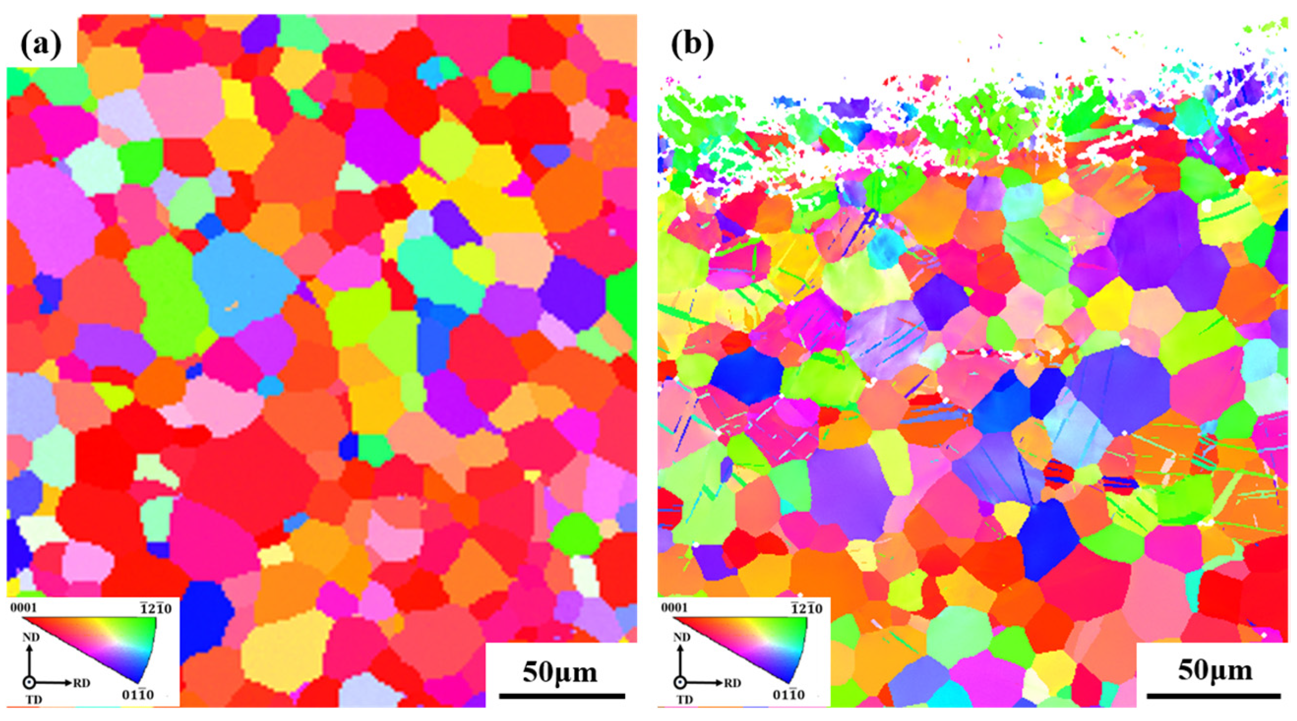 Coatings 12 00131 g003
