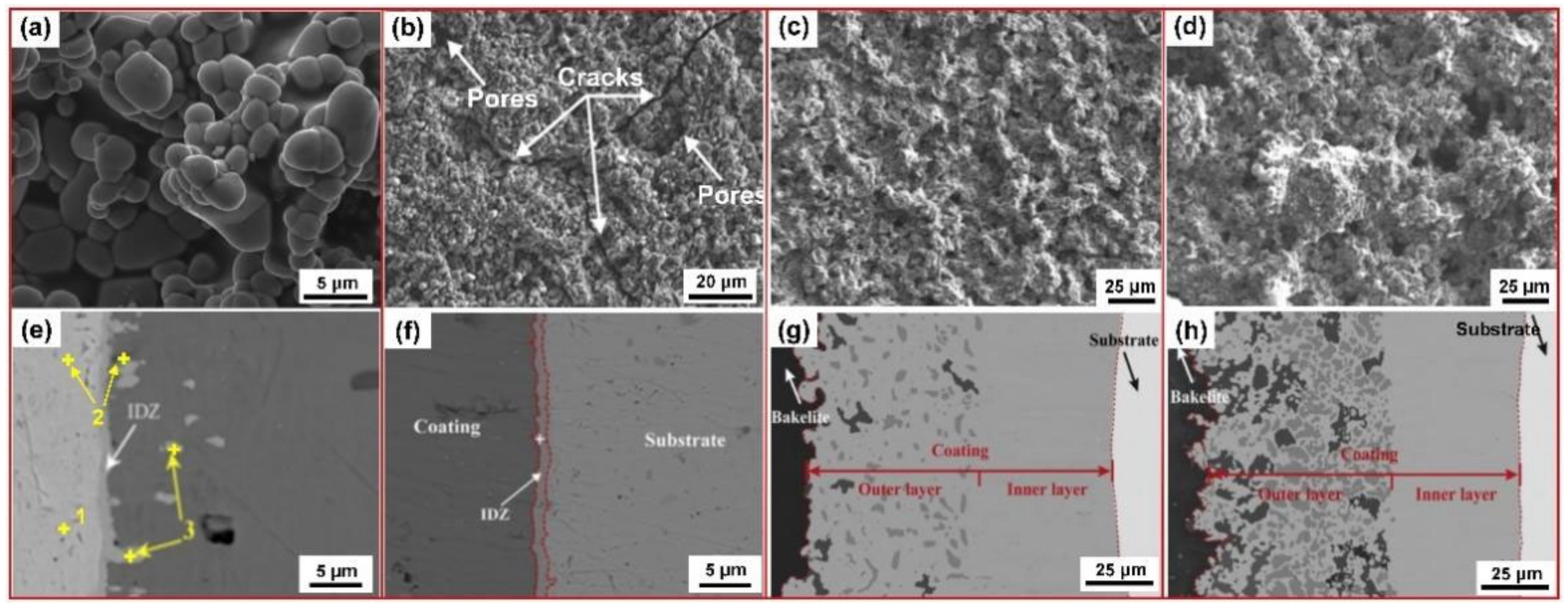 Coatings 12 00141 g003