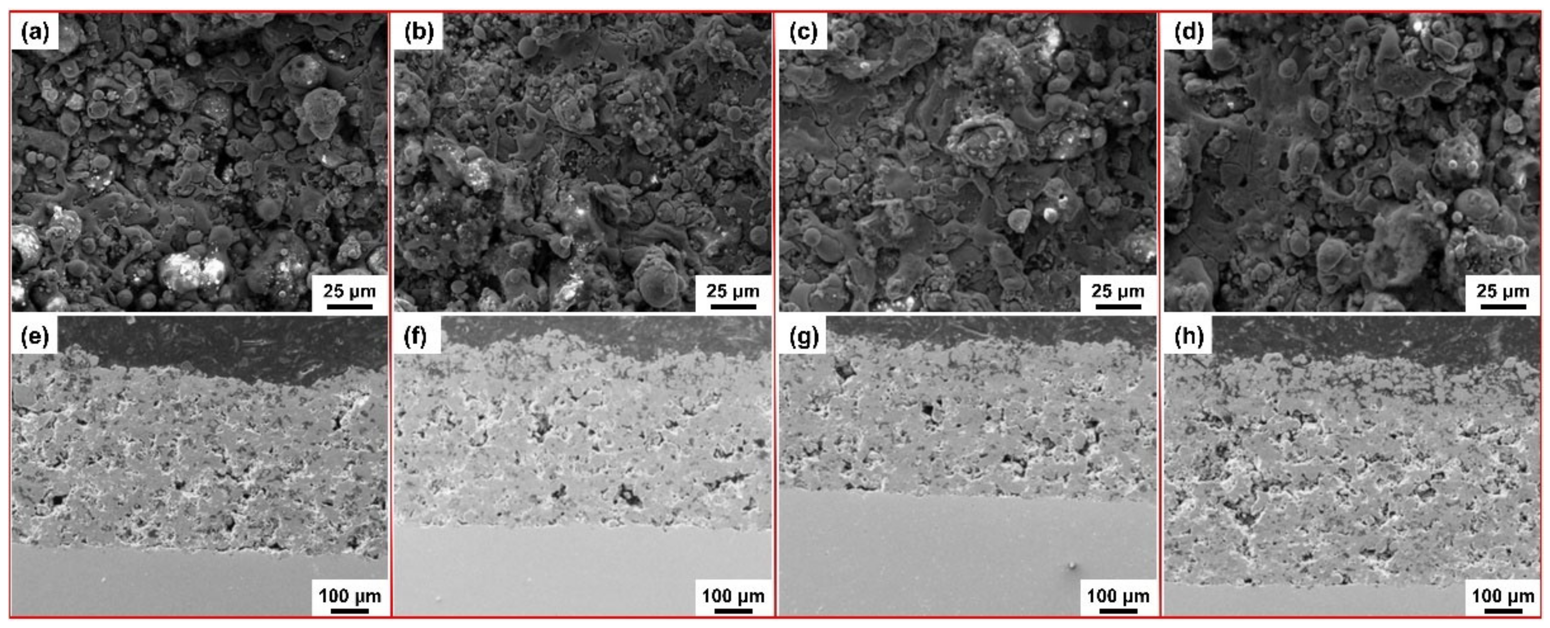 Coatings 12 00141 g008