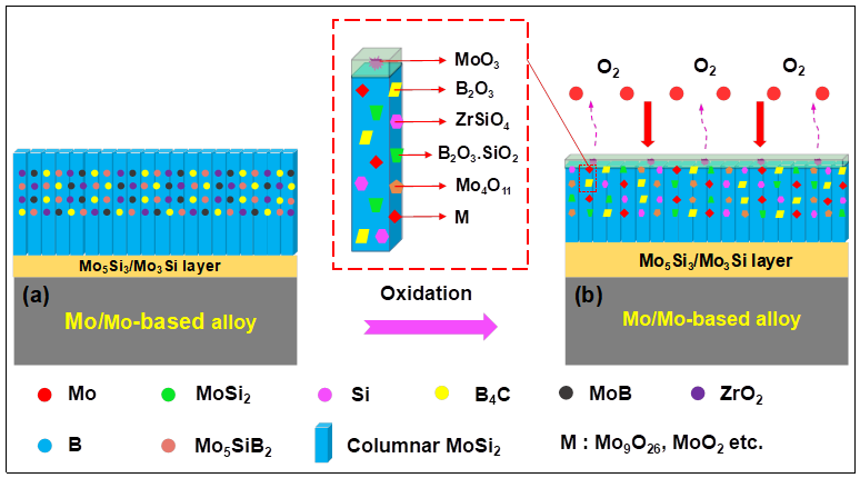 Coatings 12 00141 g009