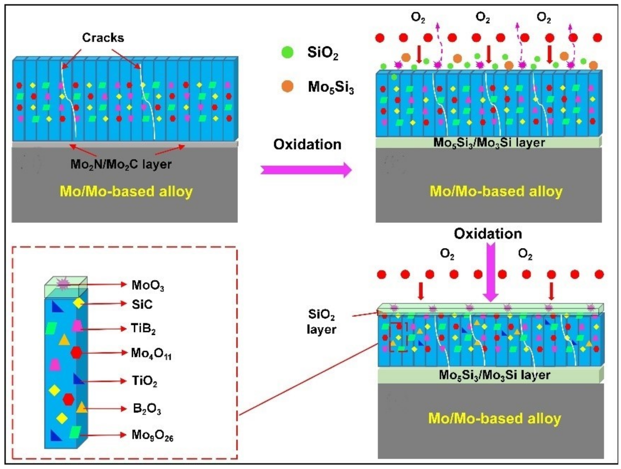 Coatings 12 00141 g014