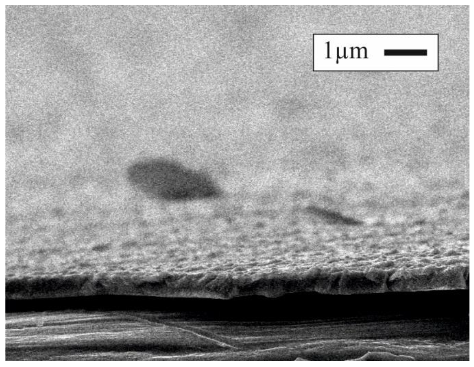 Coatings 12 00161 g003