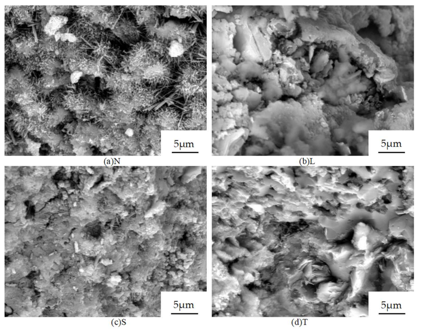 Coatings 12 00162 g015