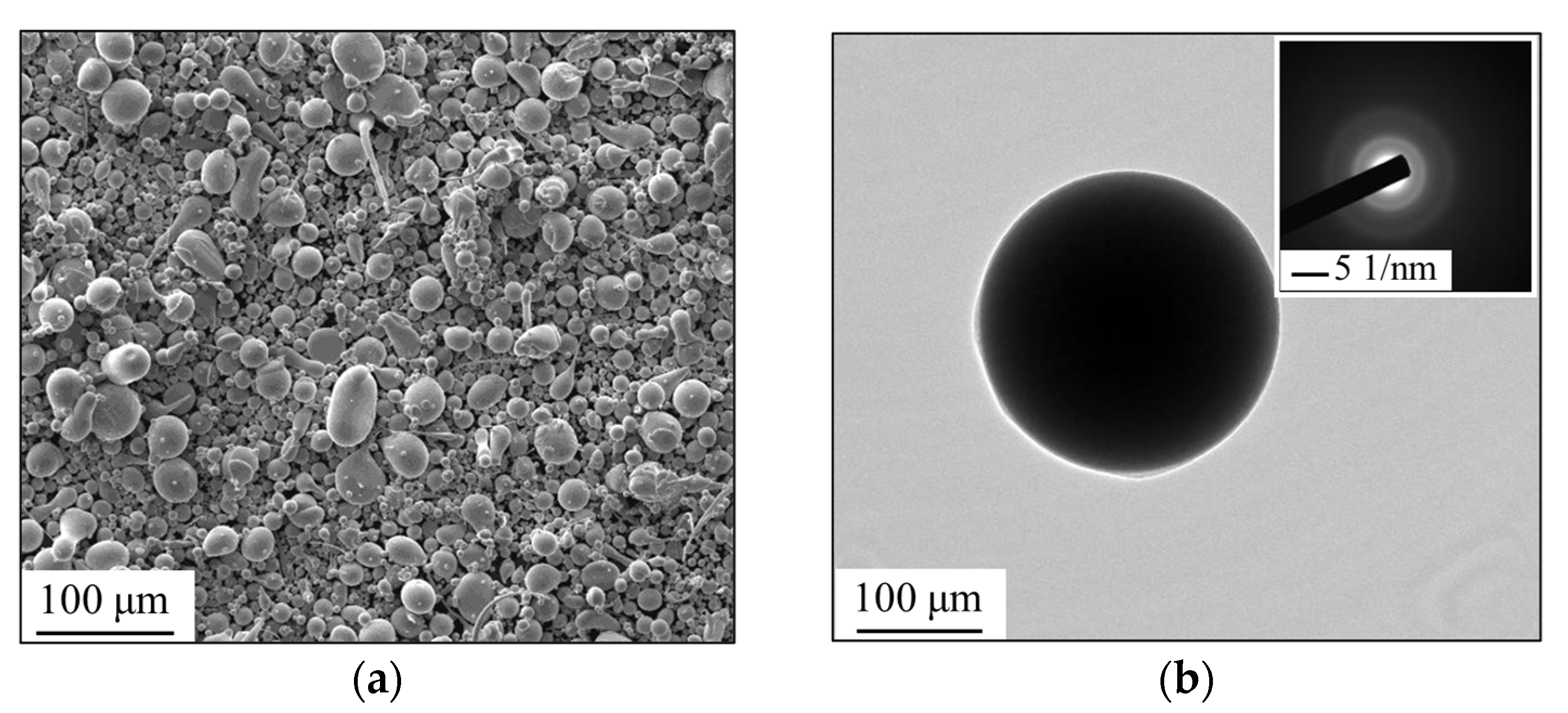 Coatings 12 00176 g001