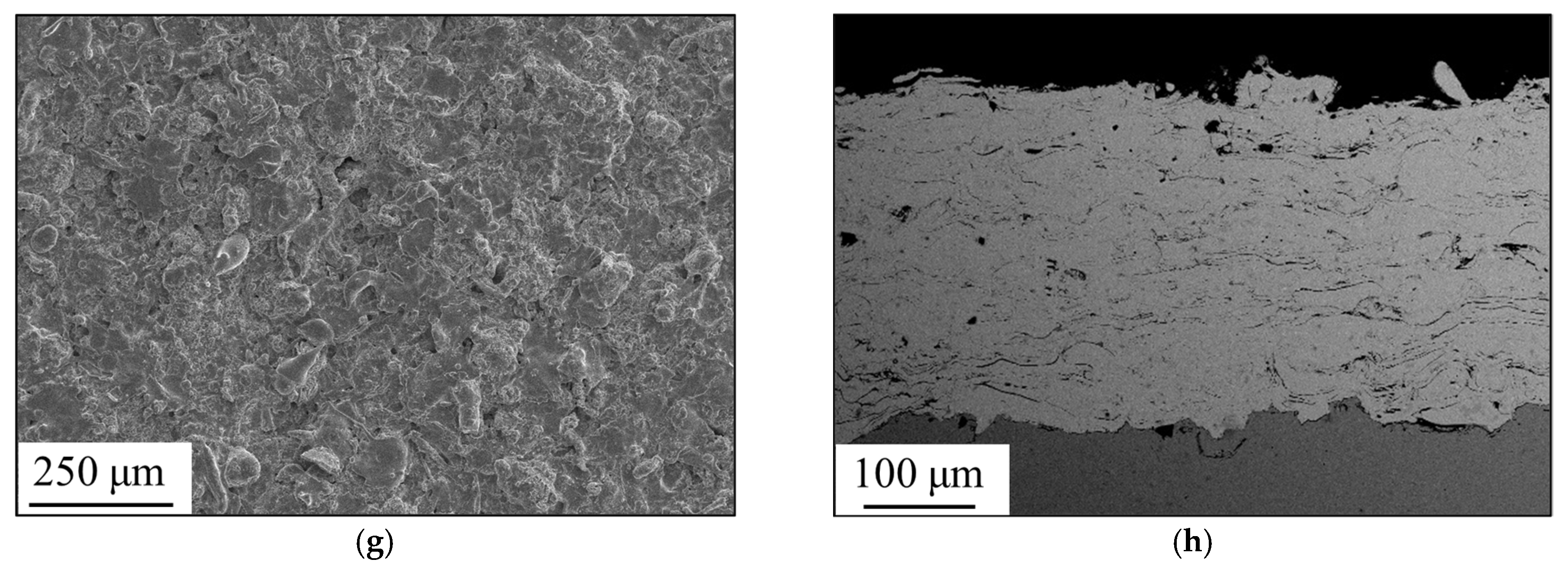 Coatings 12 00176 g002b