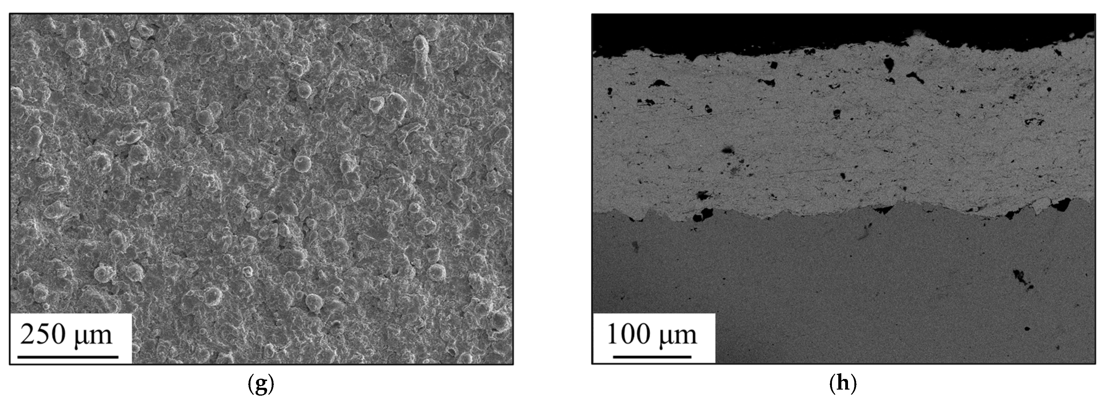 Coatings 12 00176 g003b