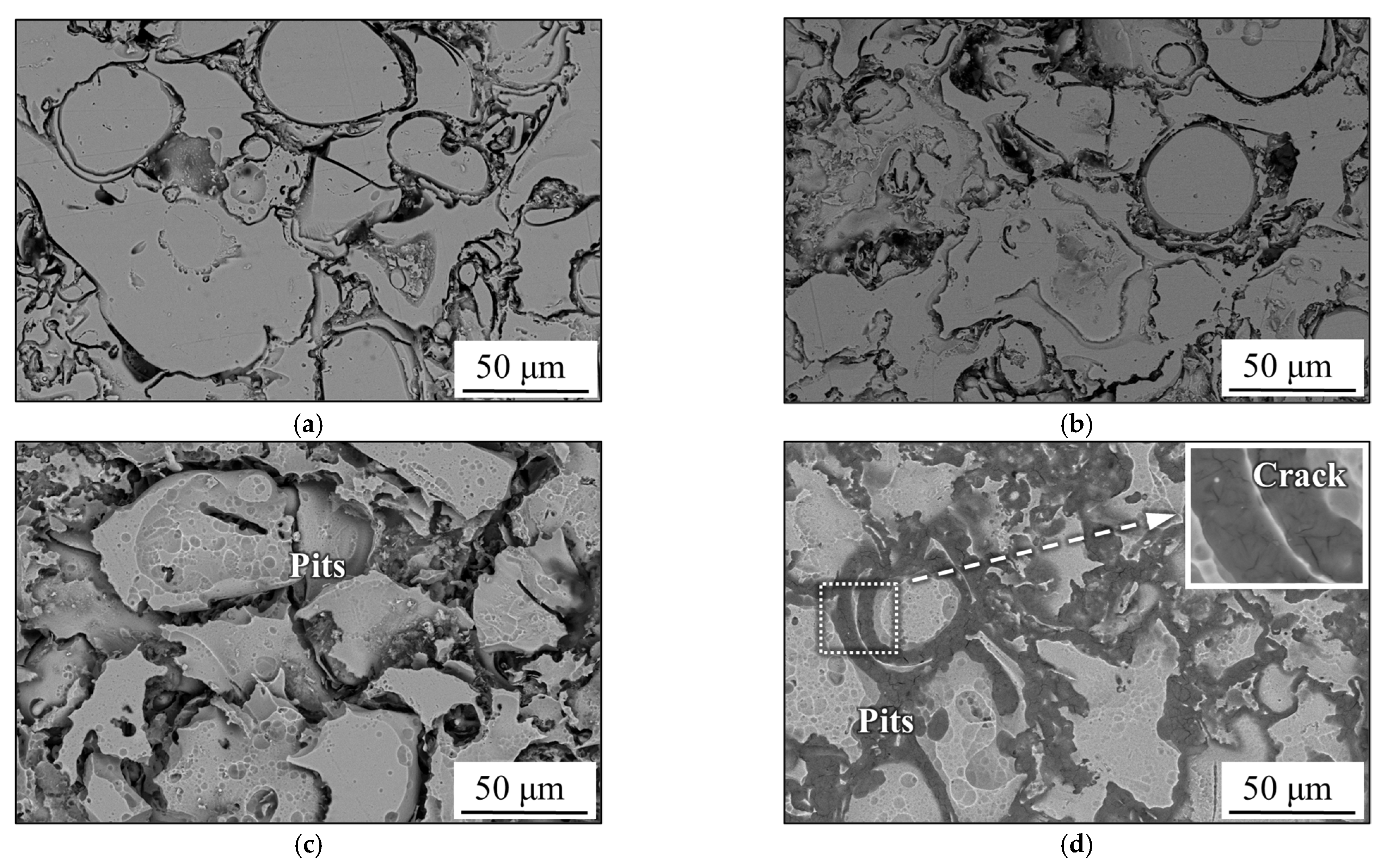 Coatings 12 00176 g009