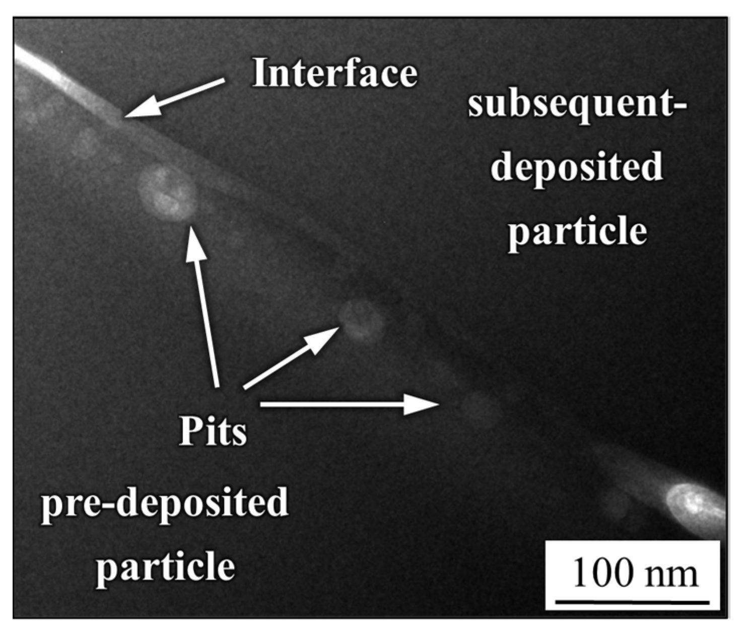 Coatings 12 00176 g012