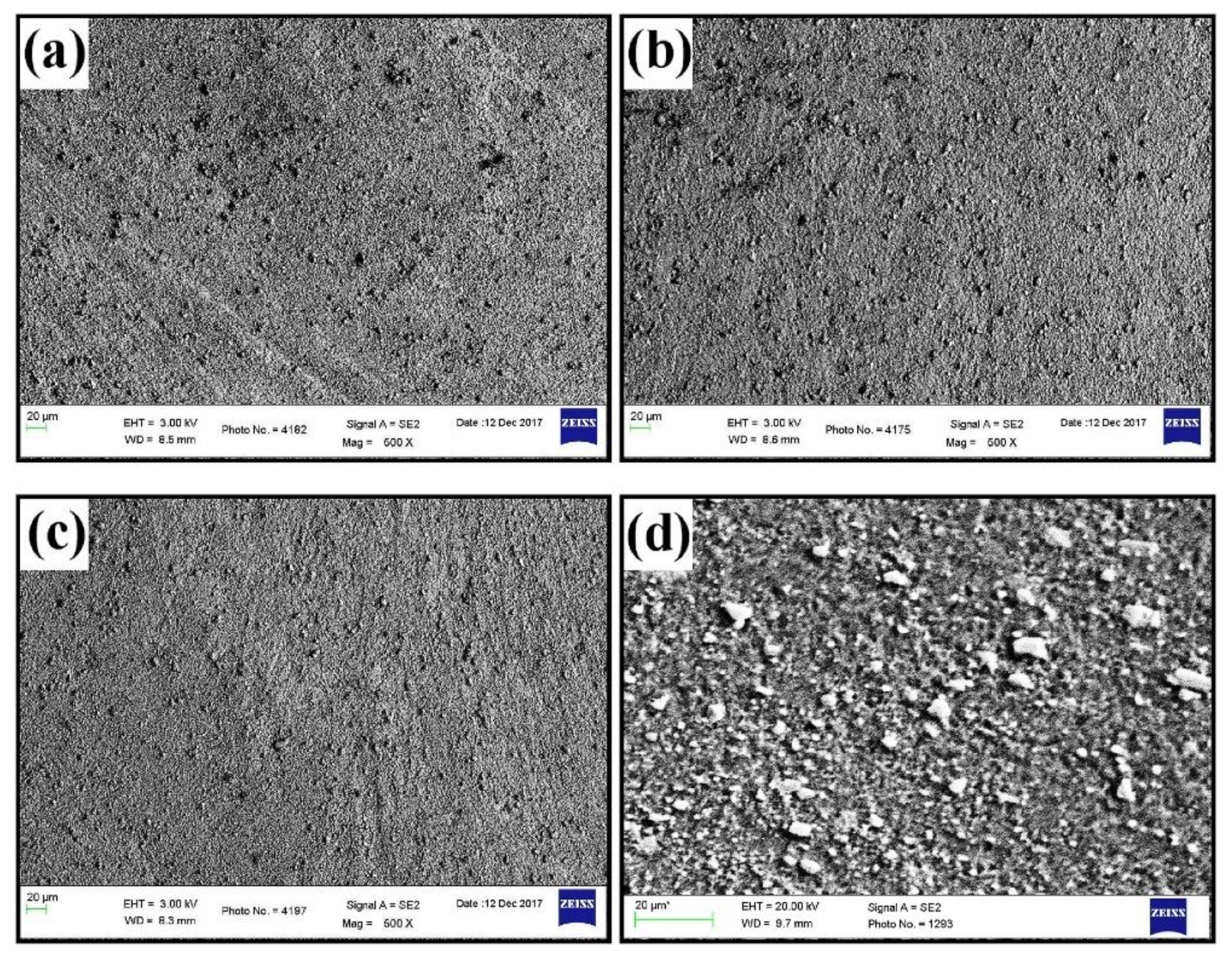 Coatings 12 00180 g010