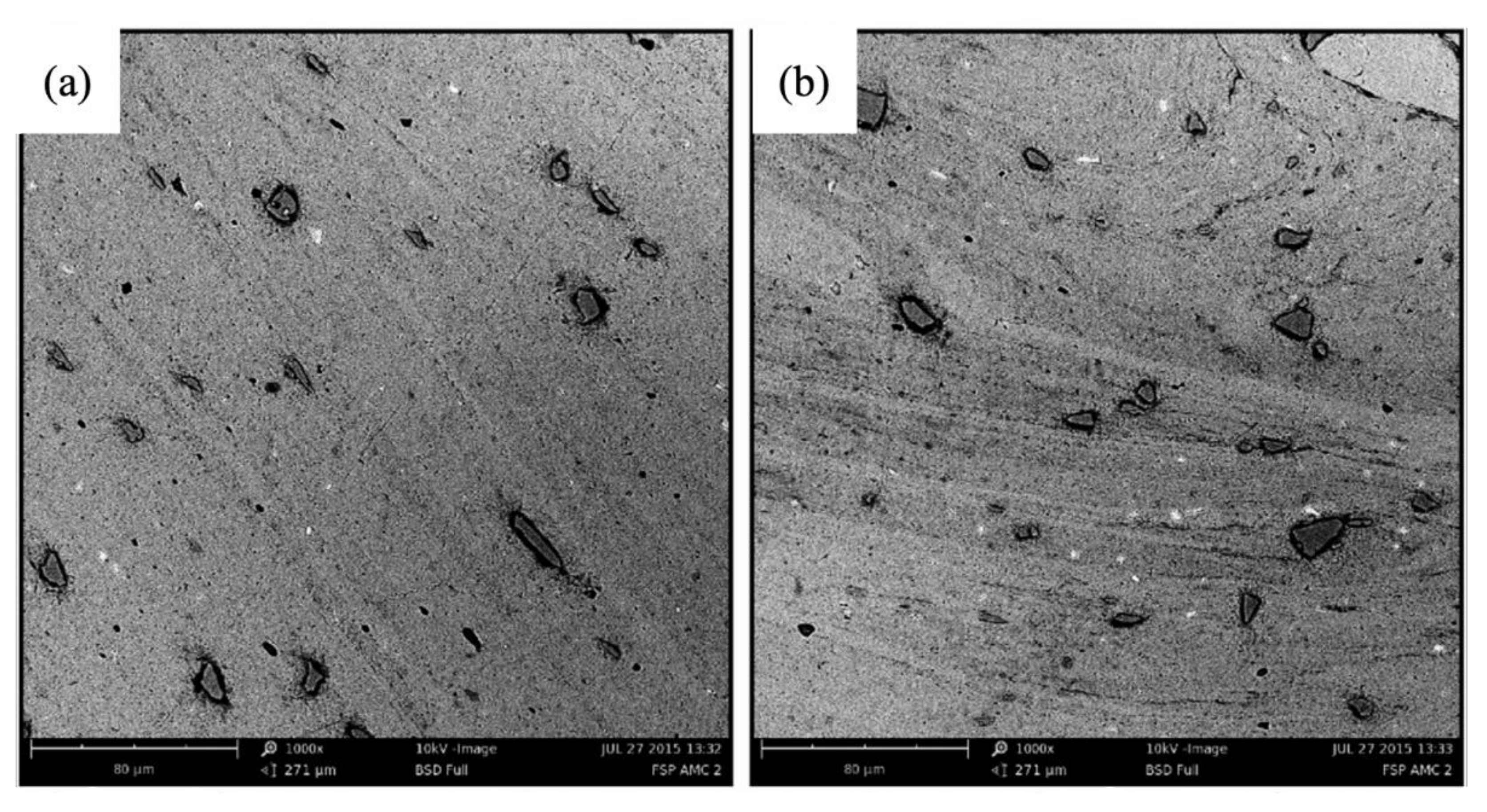 Coatings 12 00180 g012