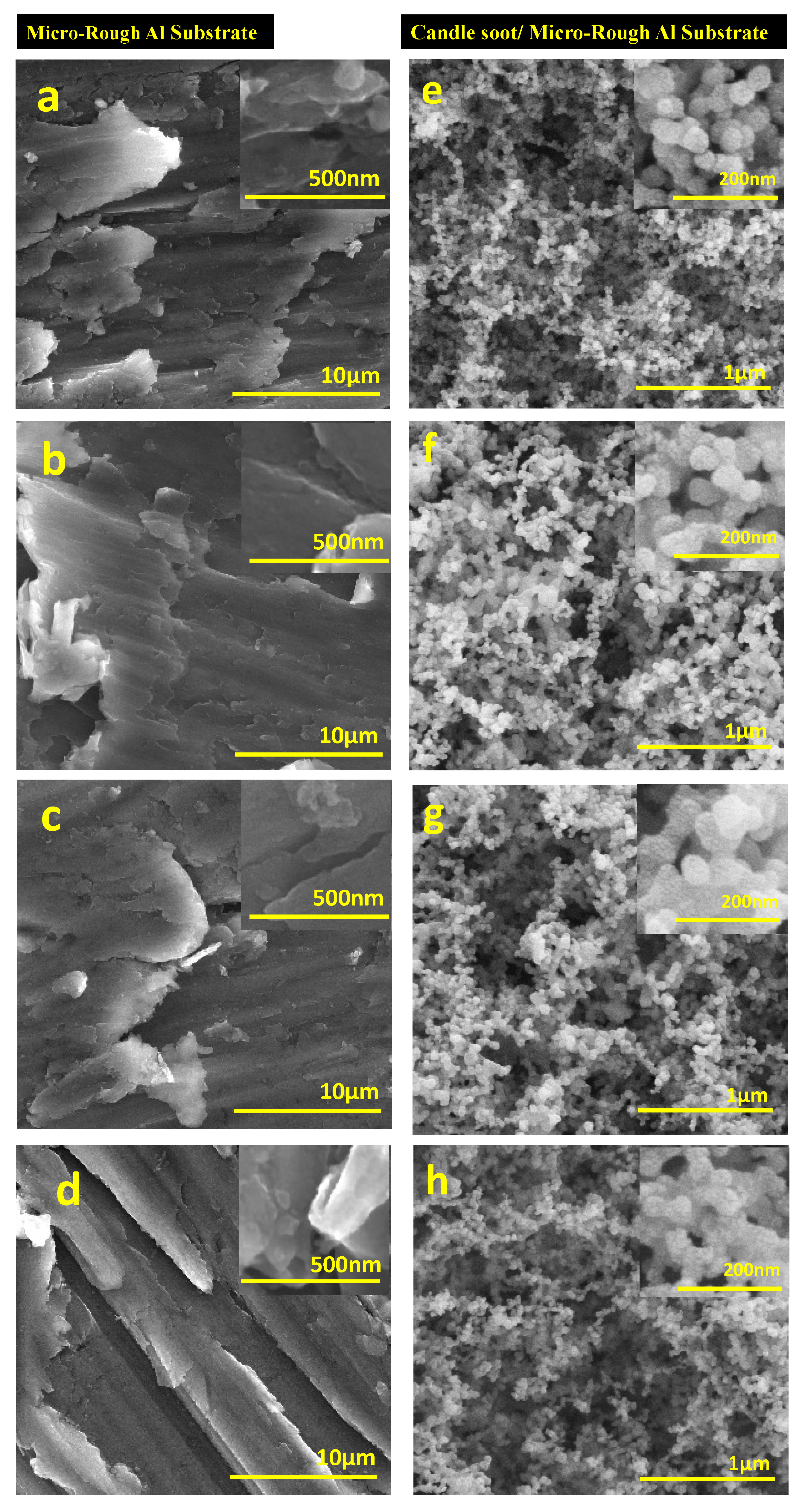 Coatings 12 00202 g004