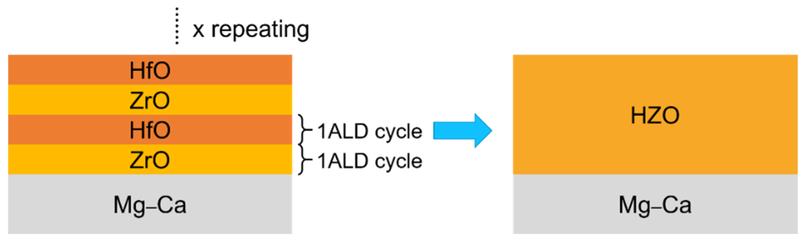 Coatings 12 00212 g001