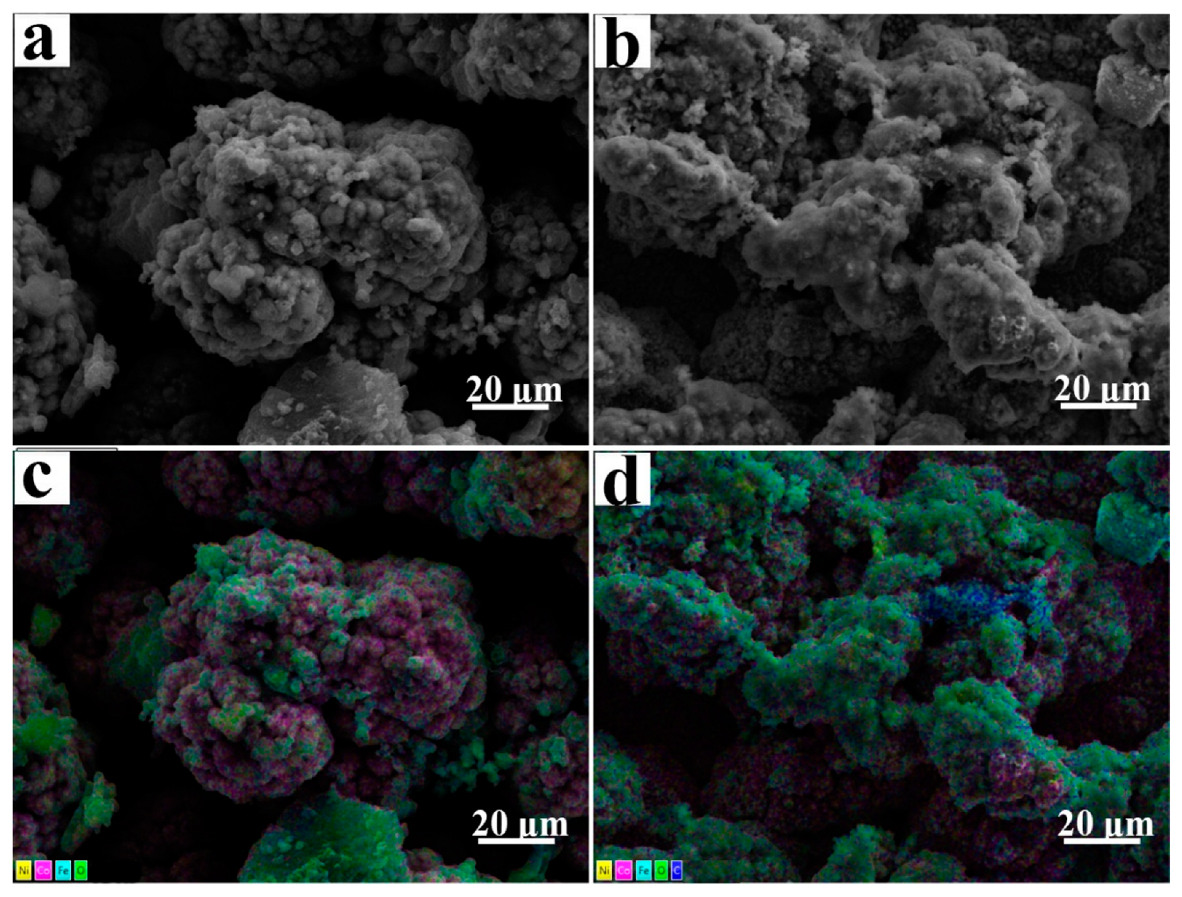 Coatings 12 00222 g003