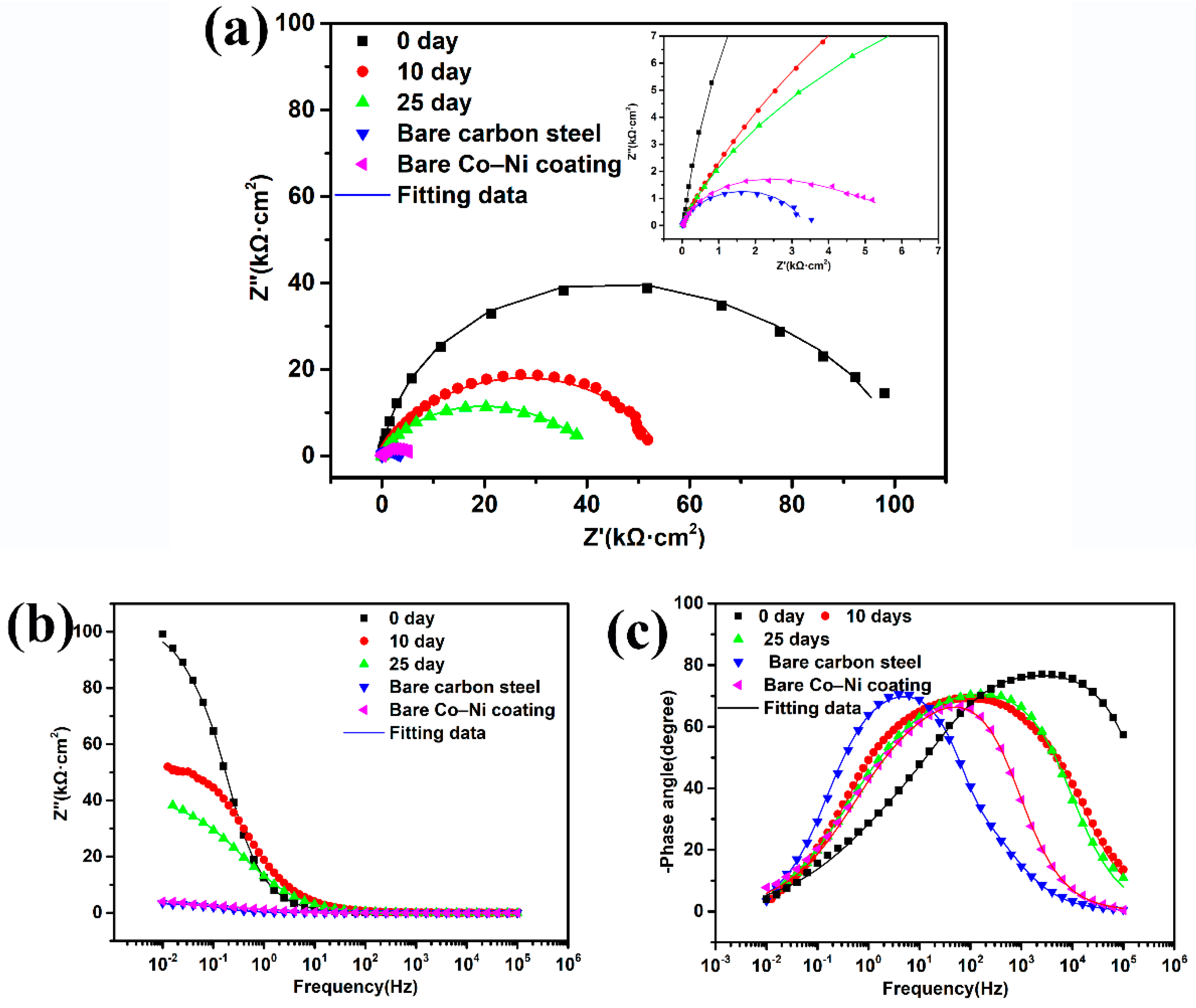 Coatings 12 00222 g006