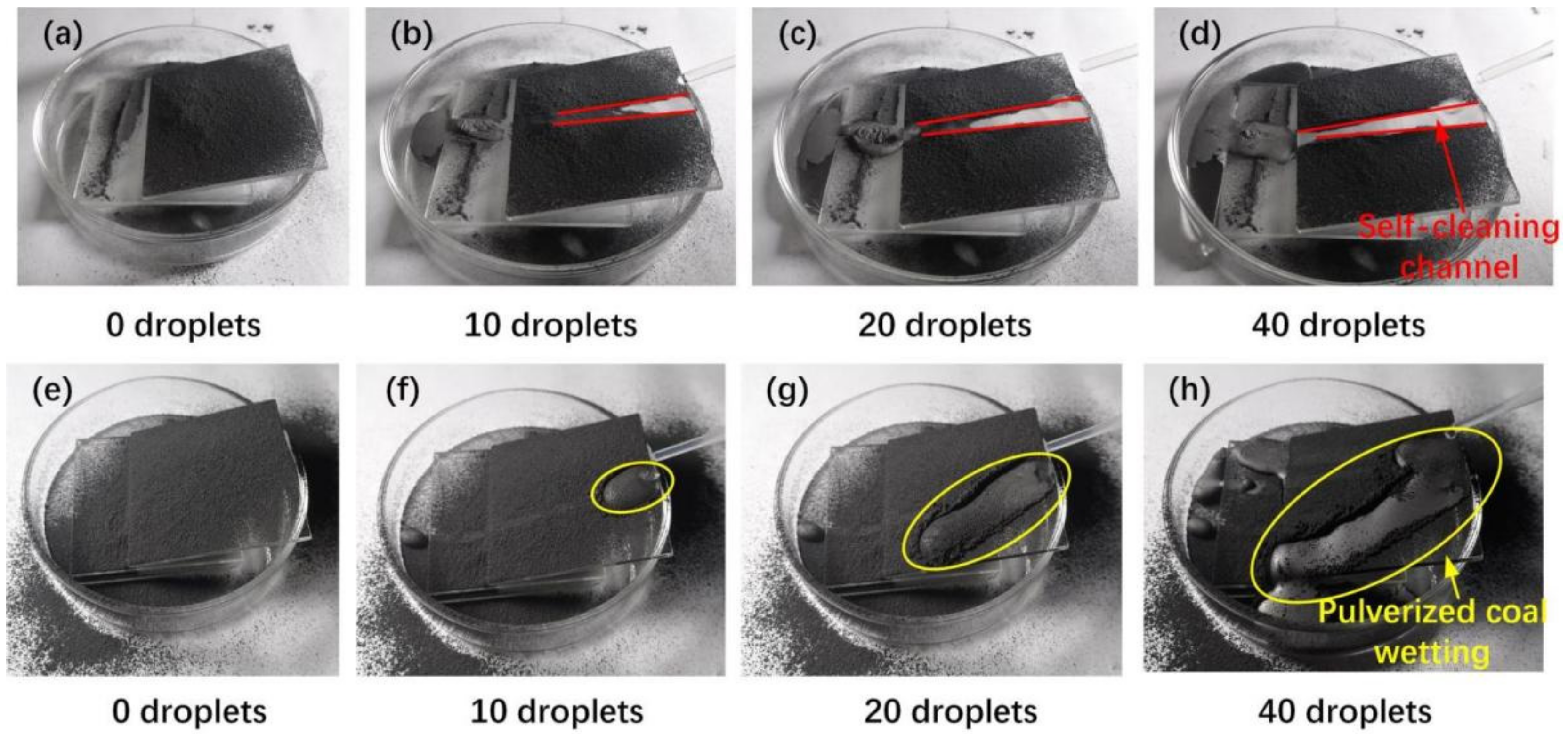 Coatings 12 00228 g010