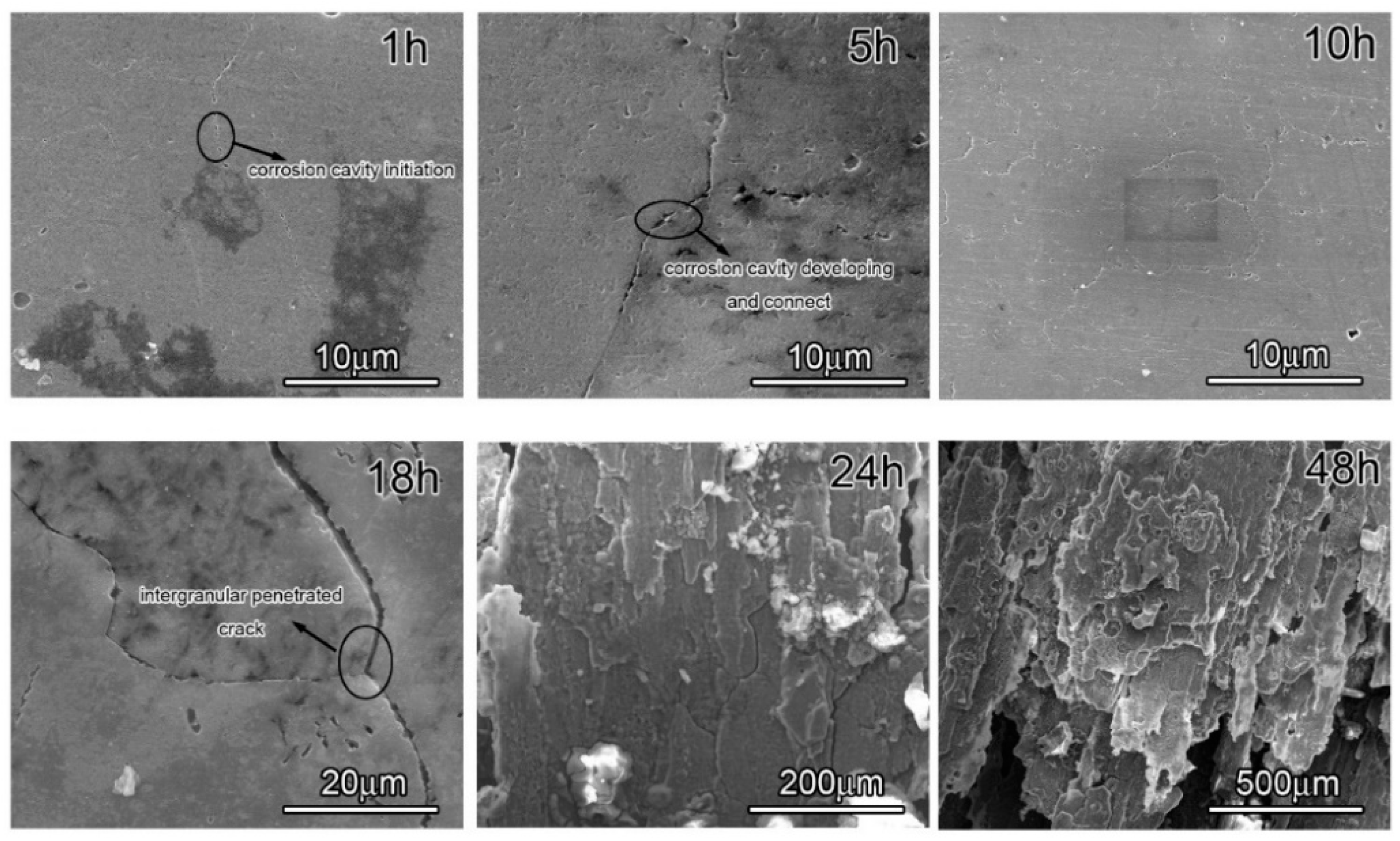 Coatings 12 00249 g005
