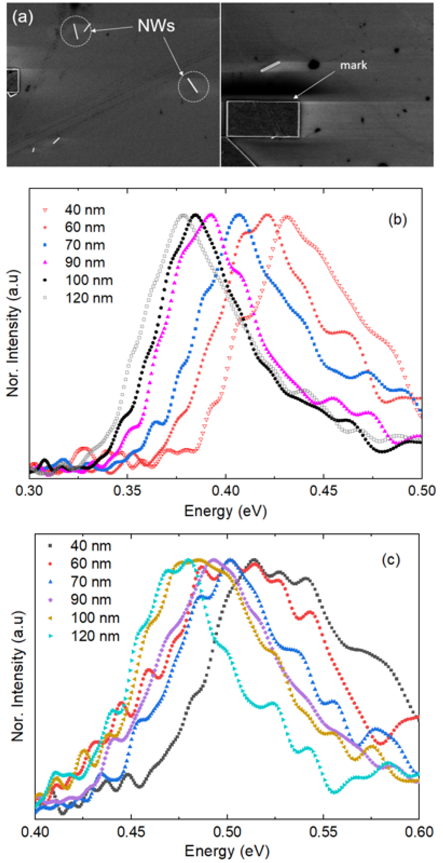 Coatings 12 00250 g004