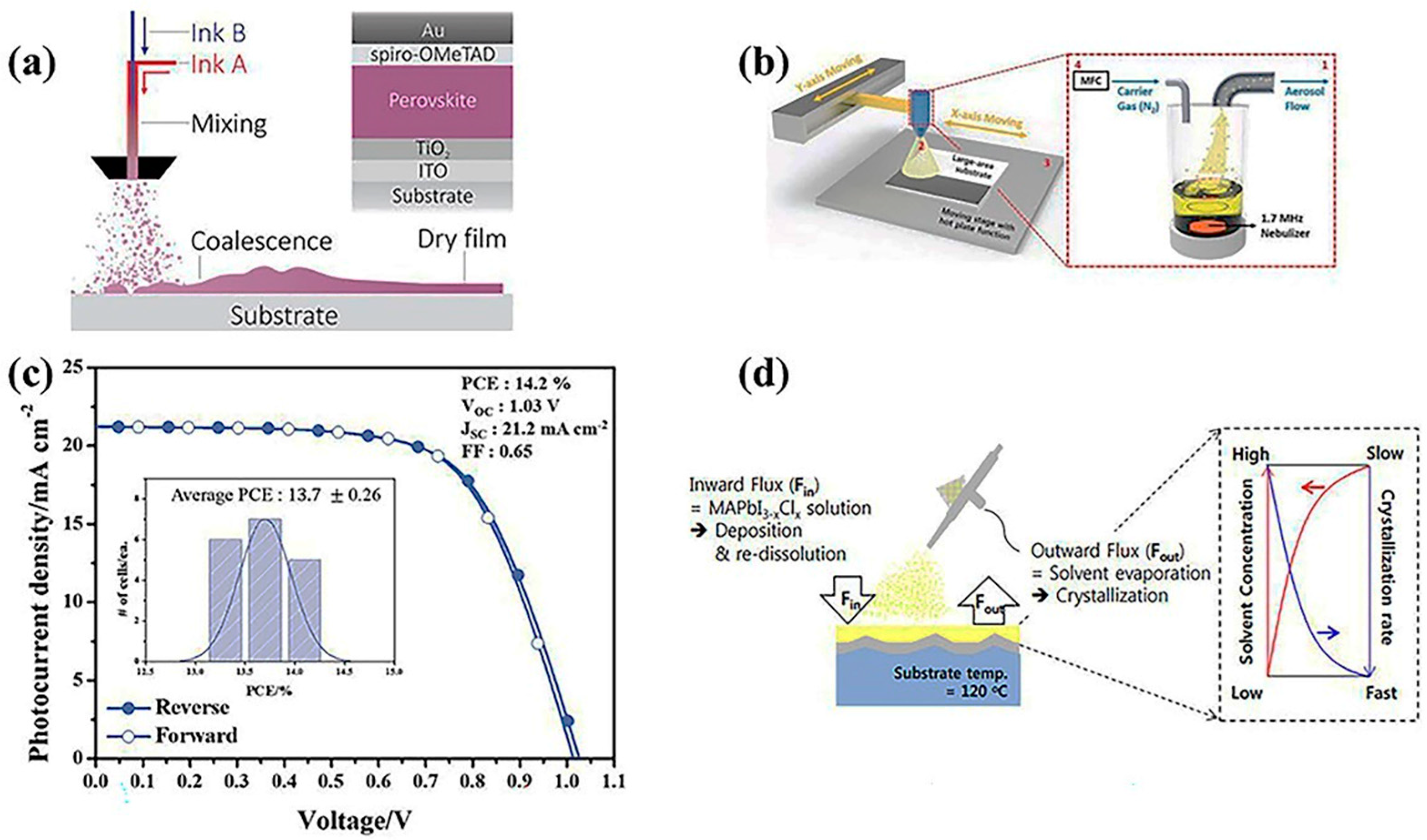 Coatings 12 00252 g005