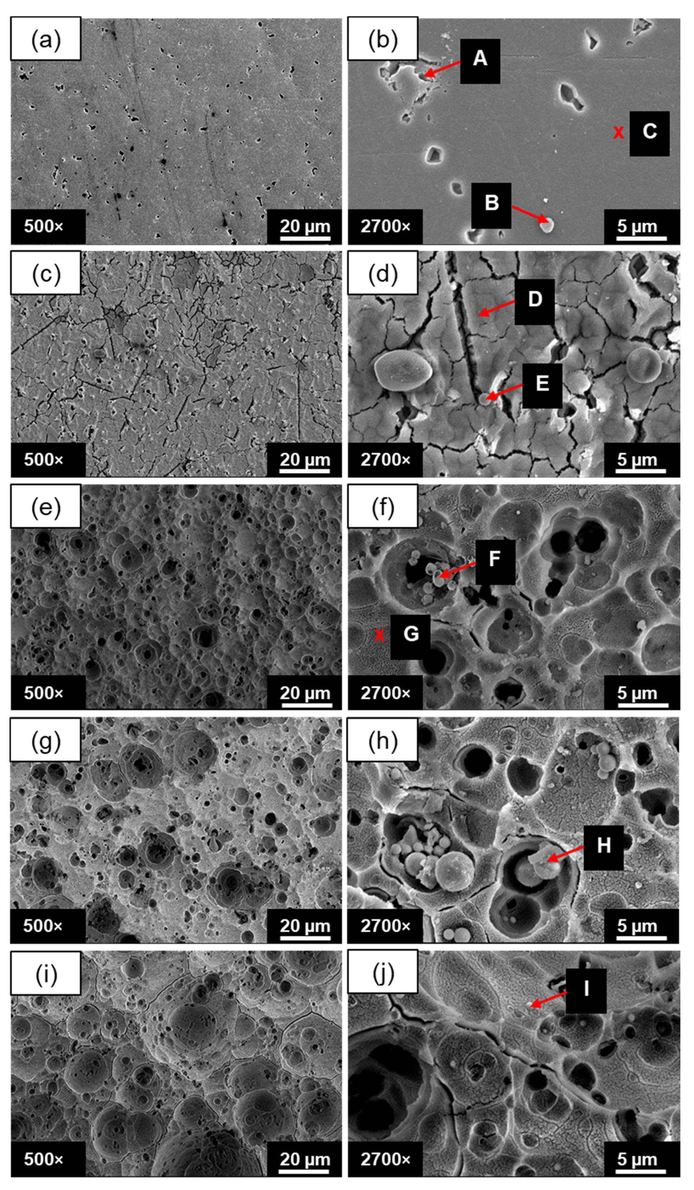 Coatings 12 00256 g006