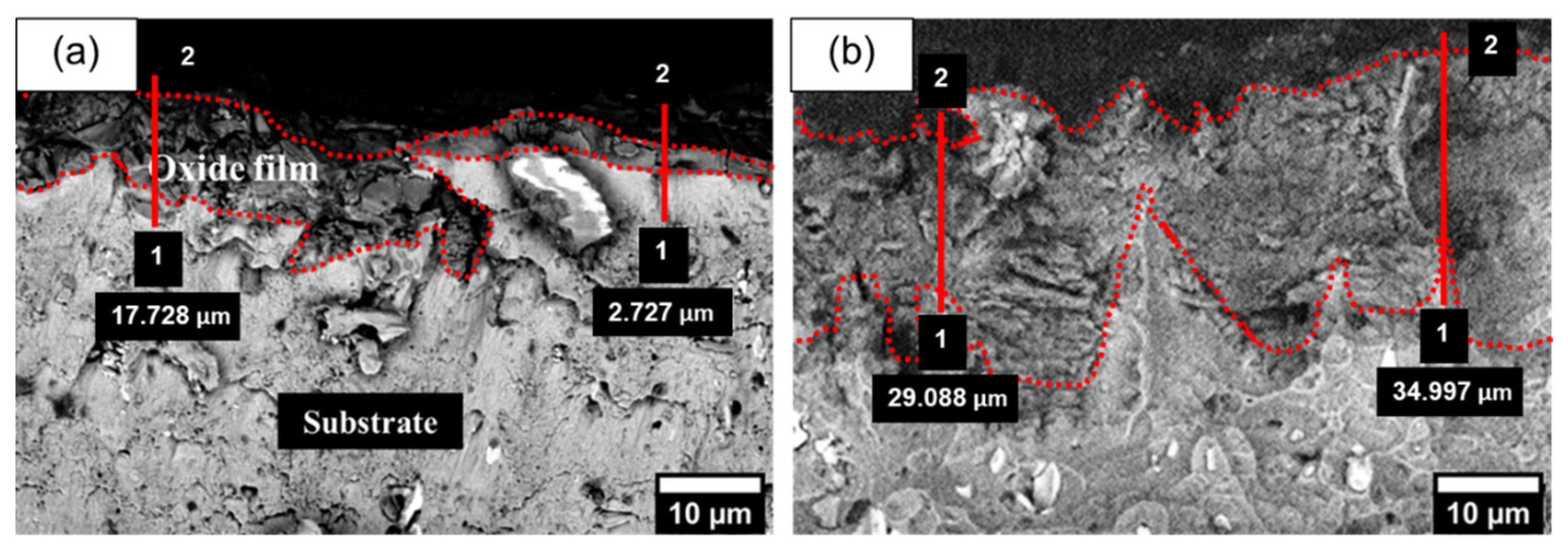Coatings 12 00256 g007