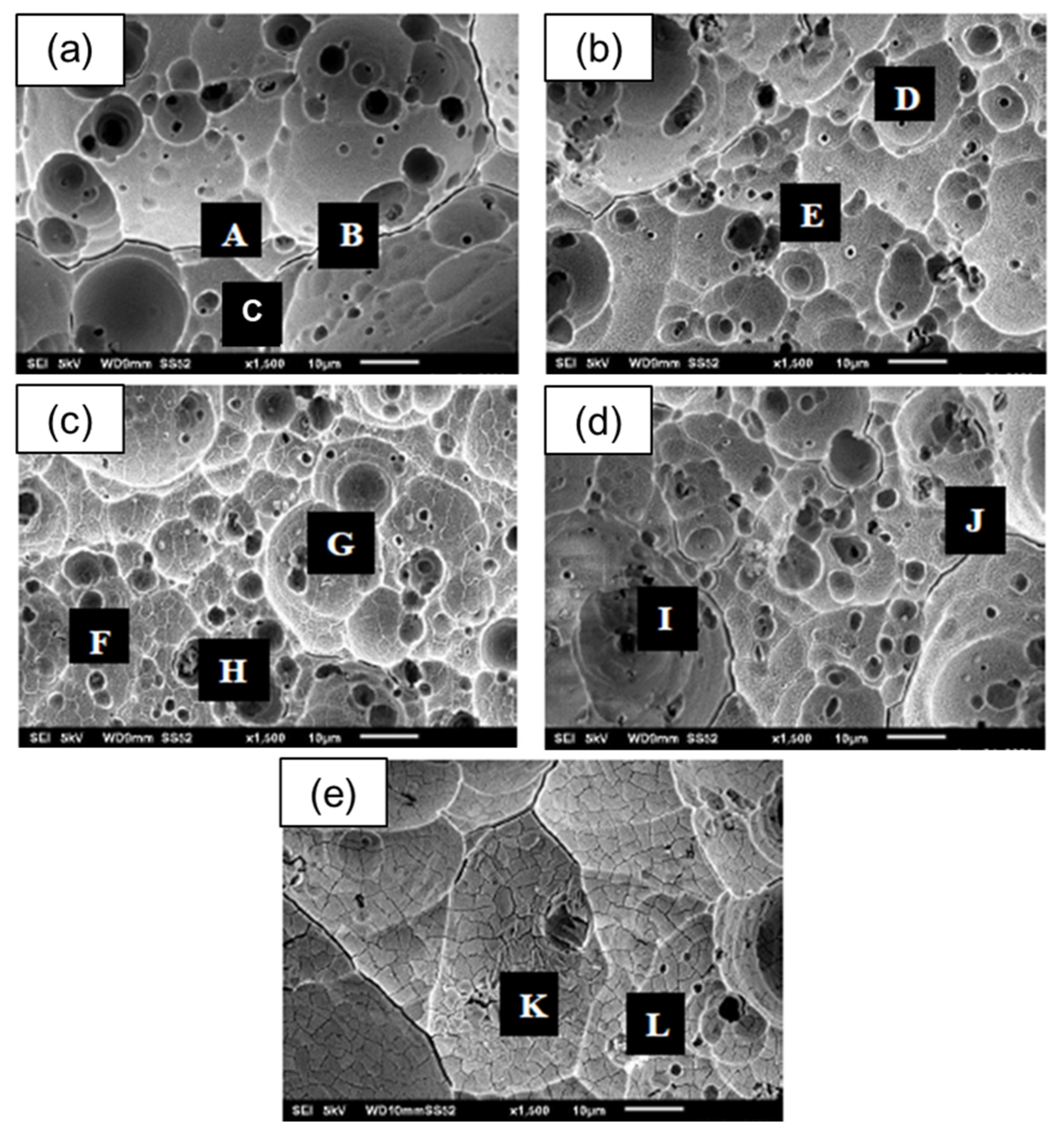 Coatings 12 00256 g010