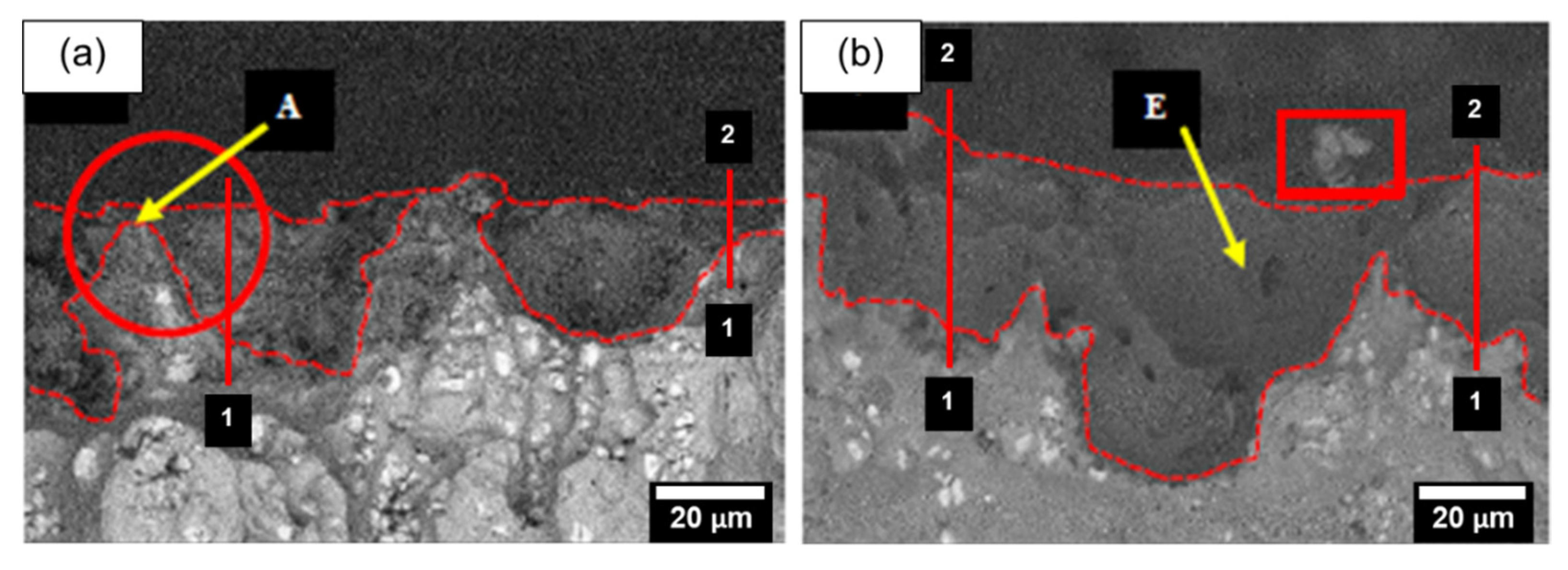 Coatings 12 00256 g011