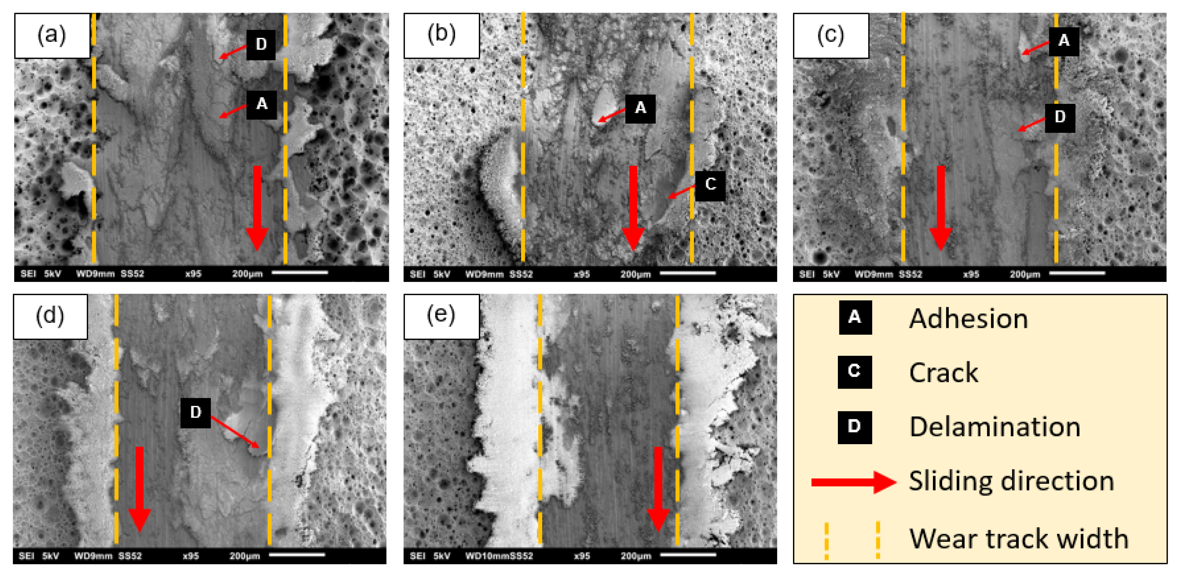 Coatings 12 00256 g016