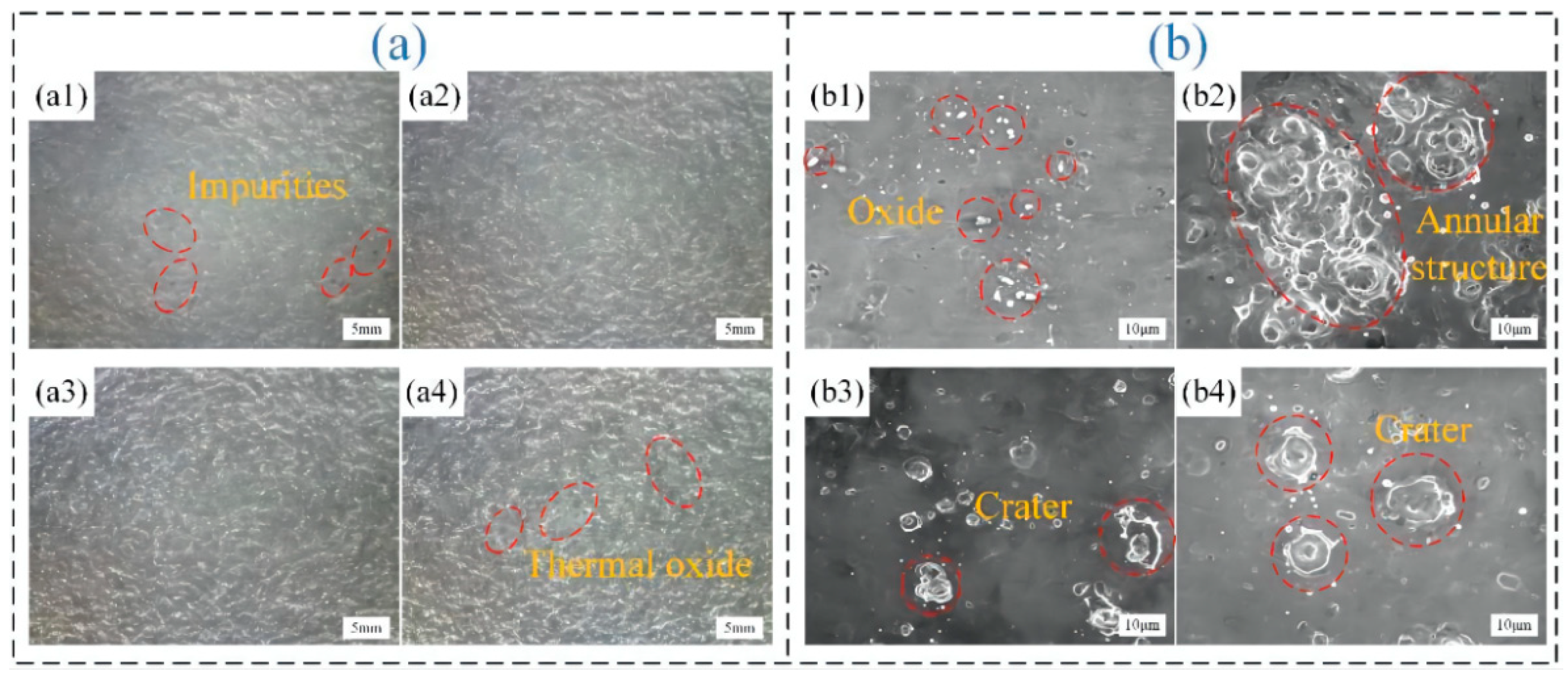 Coatings 12 00273 g003