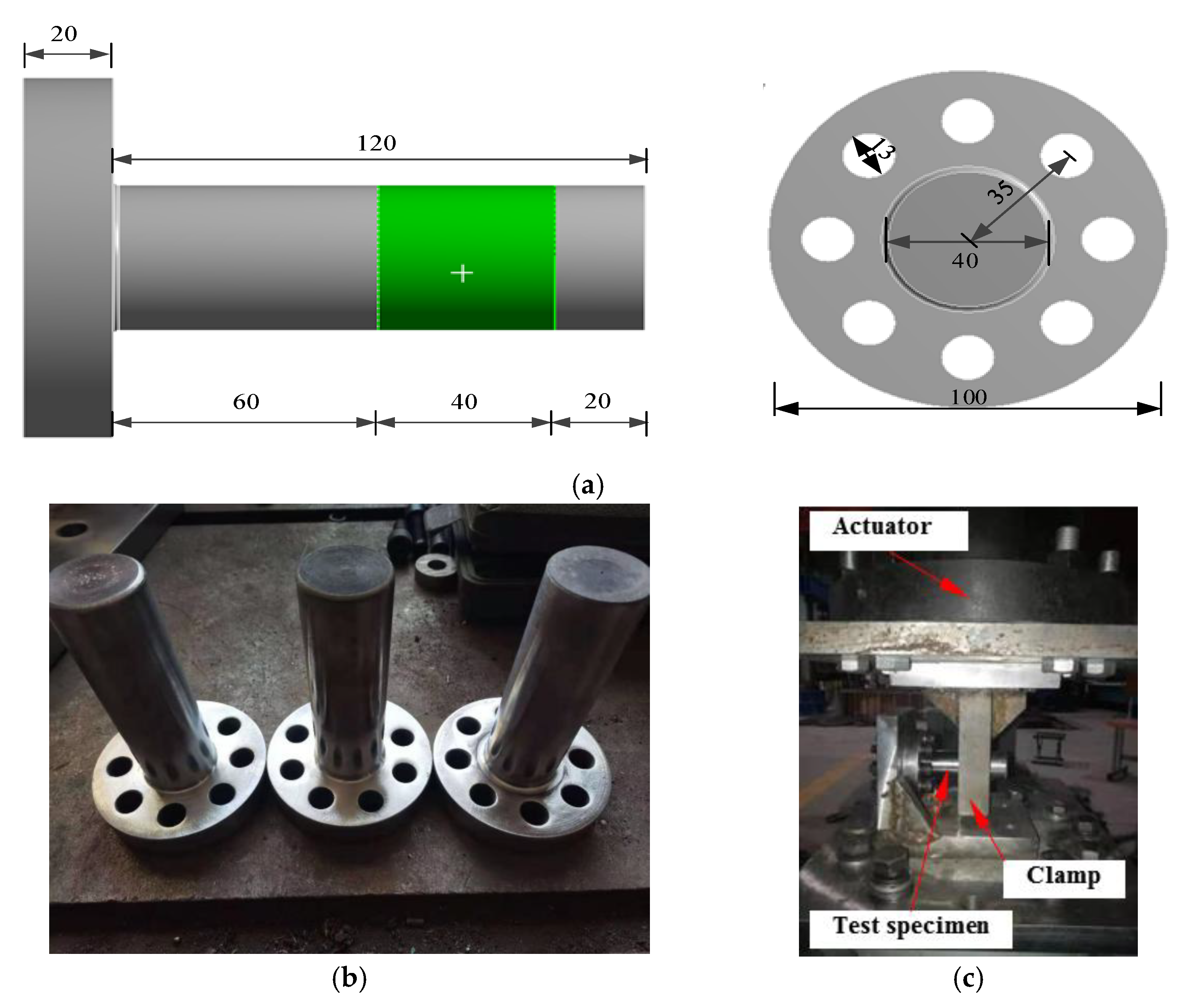 Coatings 12 00276 g002