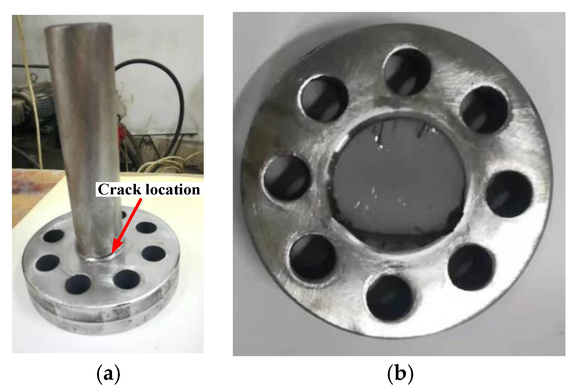 Coatings 12 00276 g003