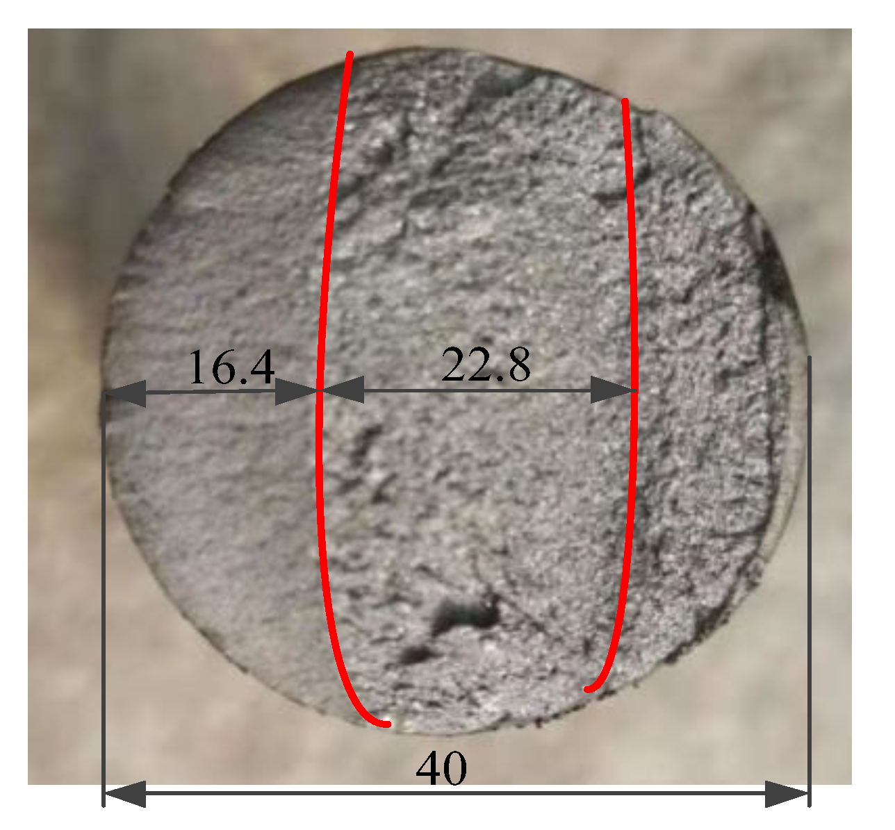 Coatings 12 00276 g014