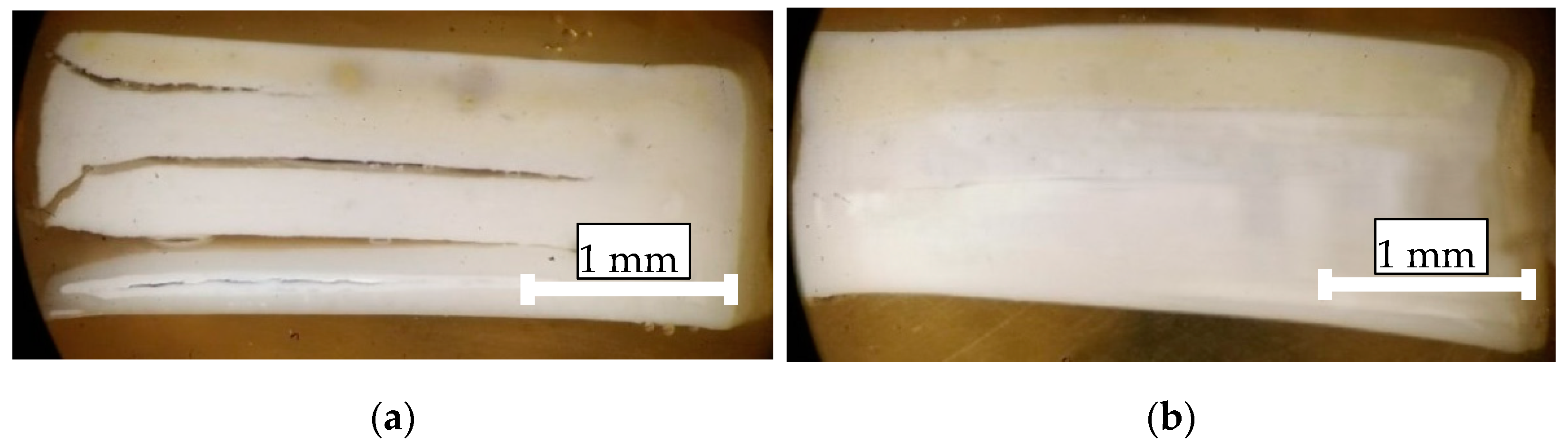 Coatings 12 00278 g007