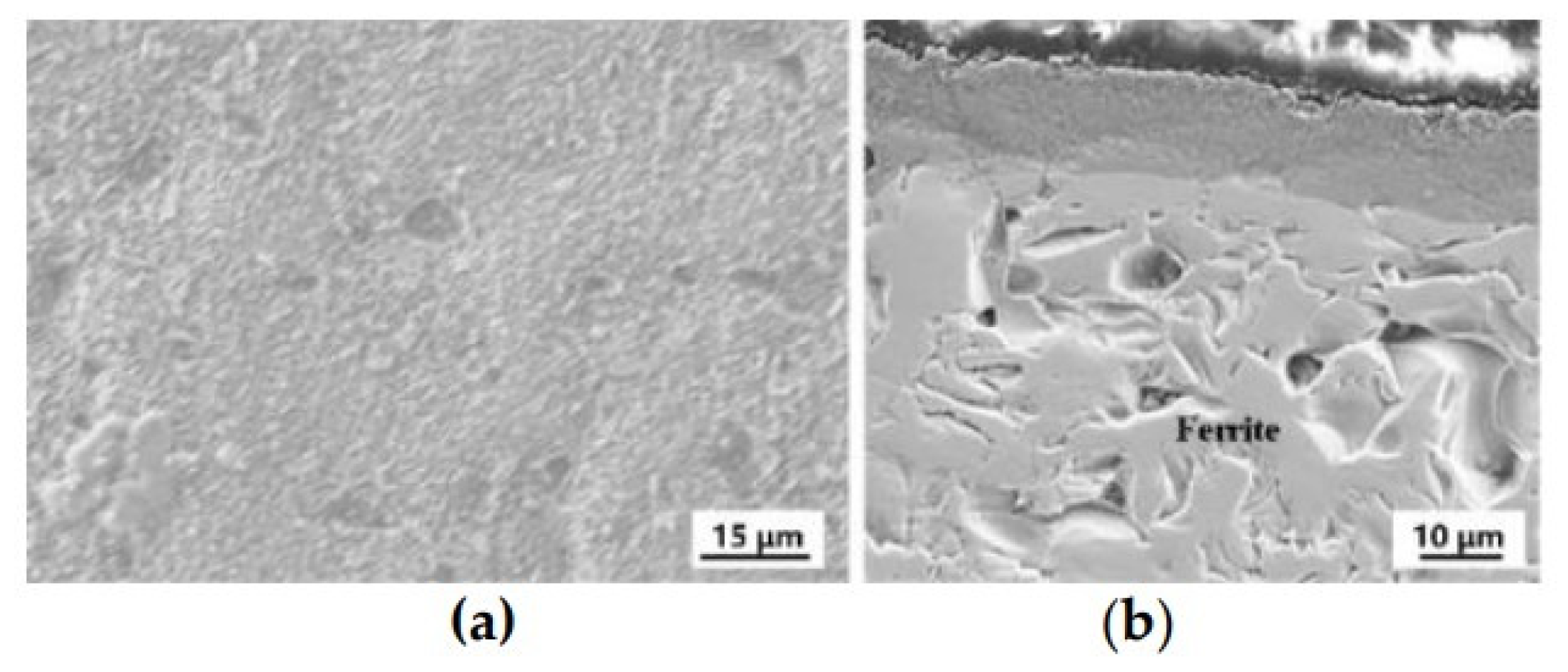 Coatings 12 00298 g003