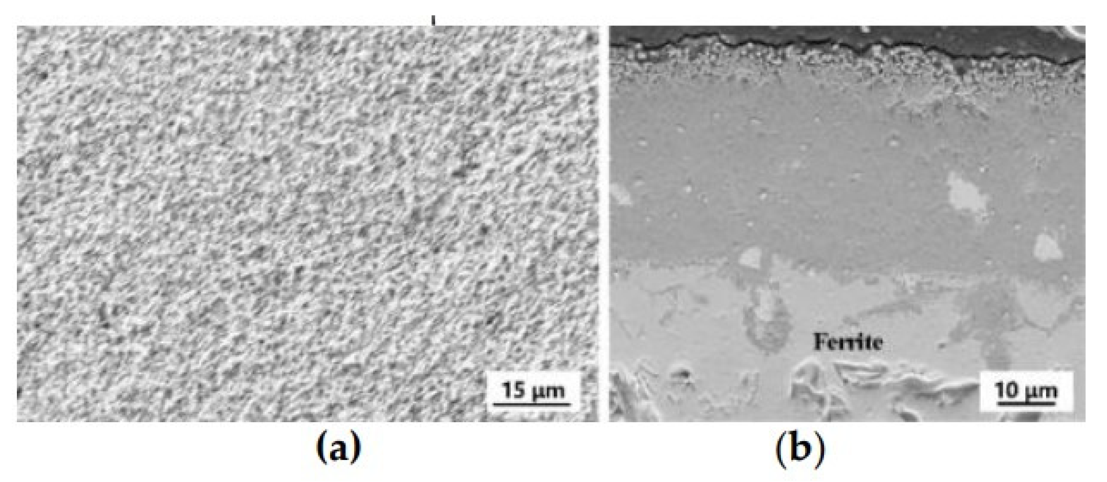Coatings 12 00298 g004