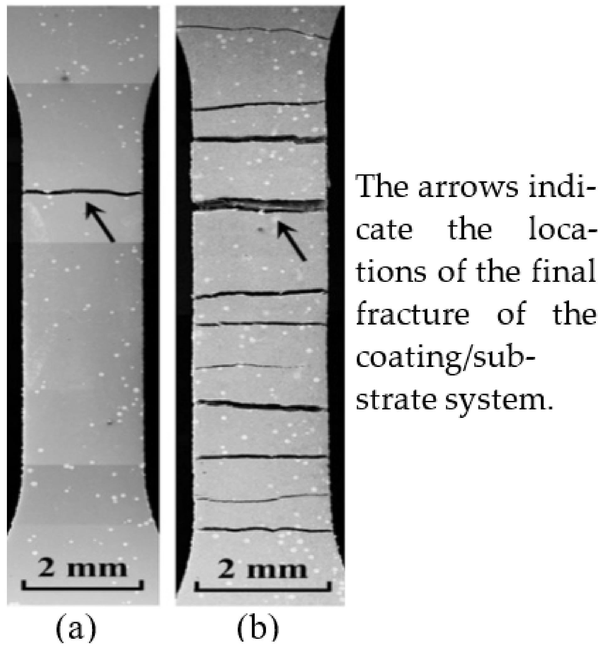 Coatings 12 00299 g002