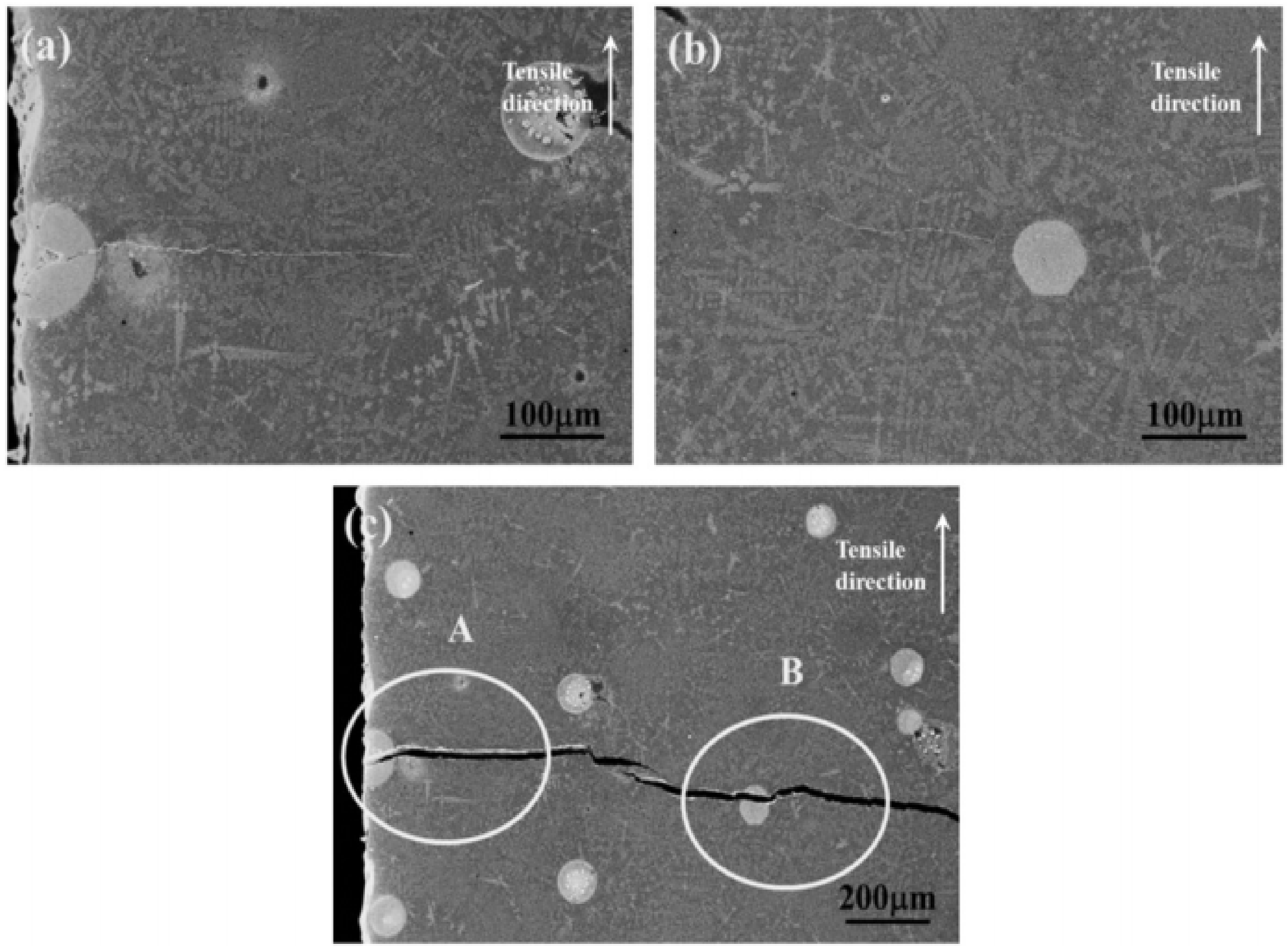 Coatings 12 00299 g003