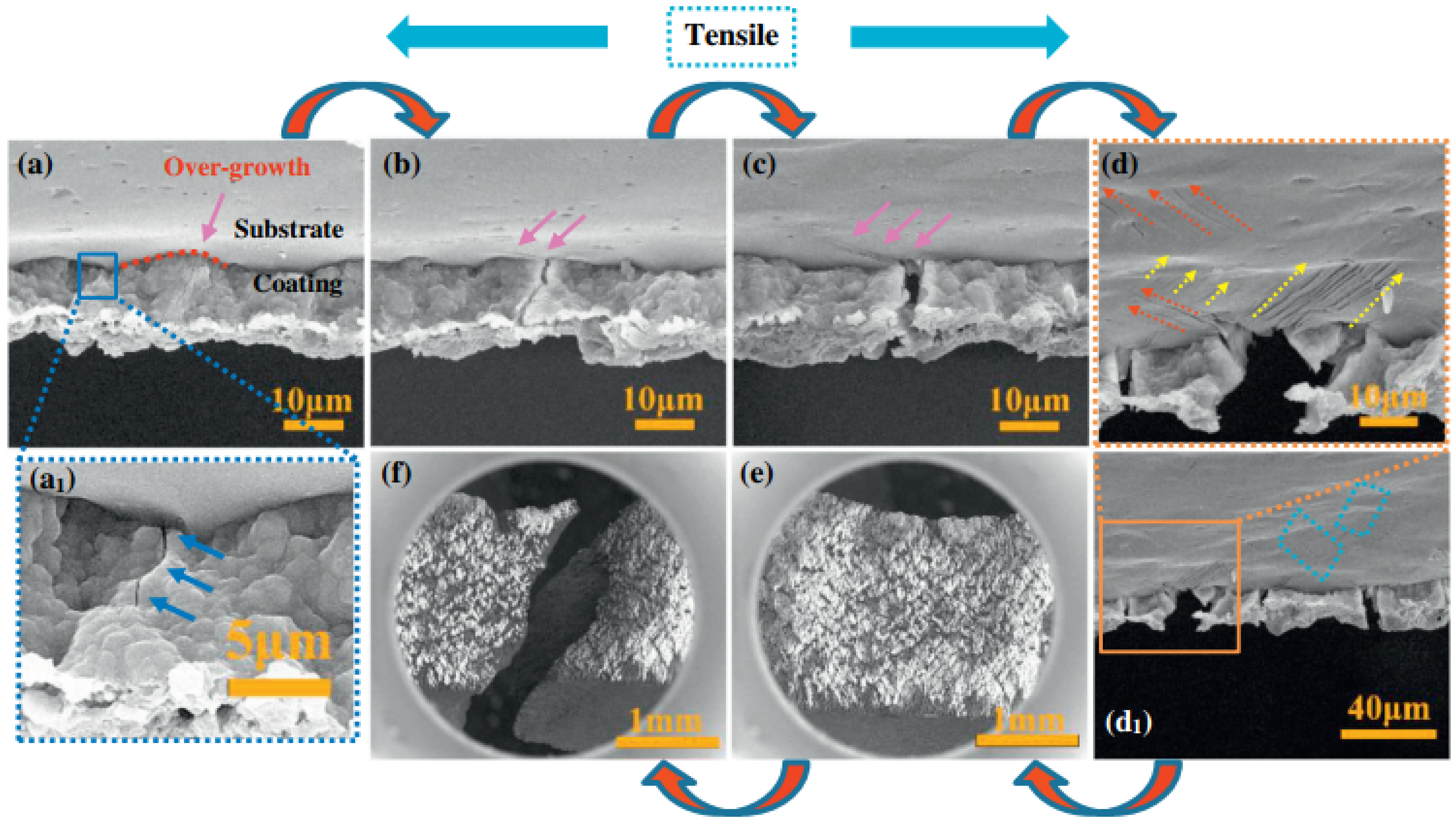 Coatings 12 00299 g006