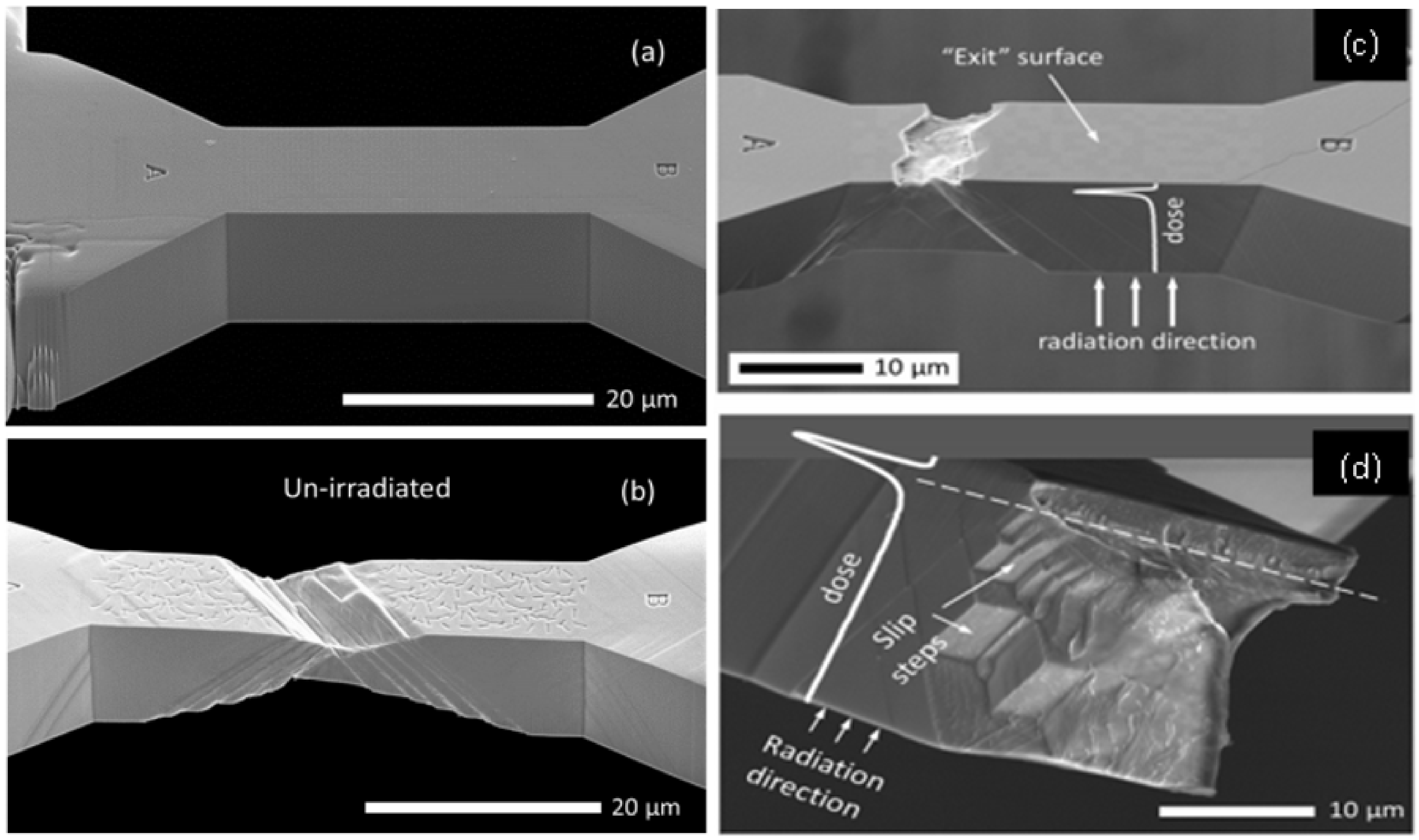 Coatings 12 00299 g012