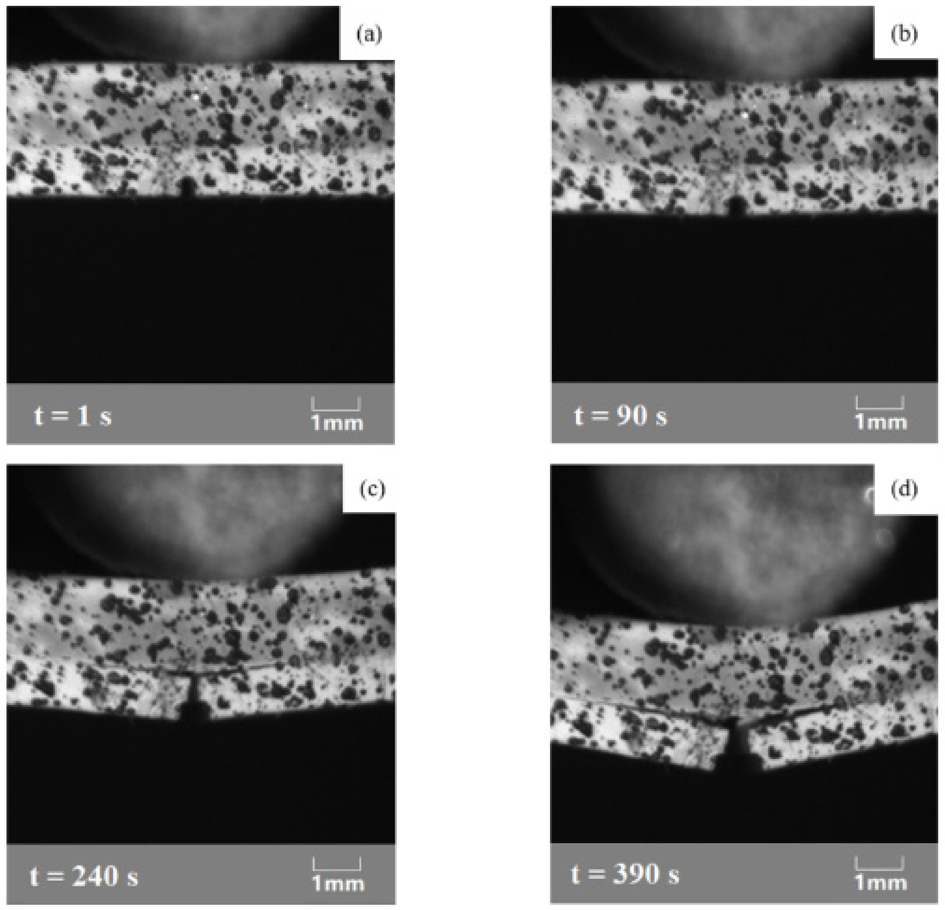 Coatings 12 00299 g017