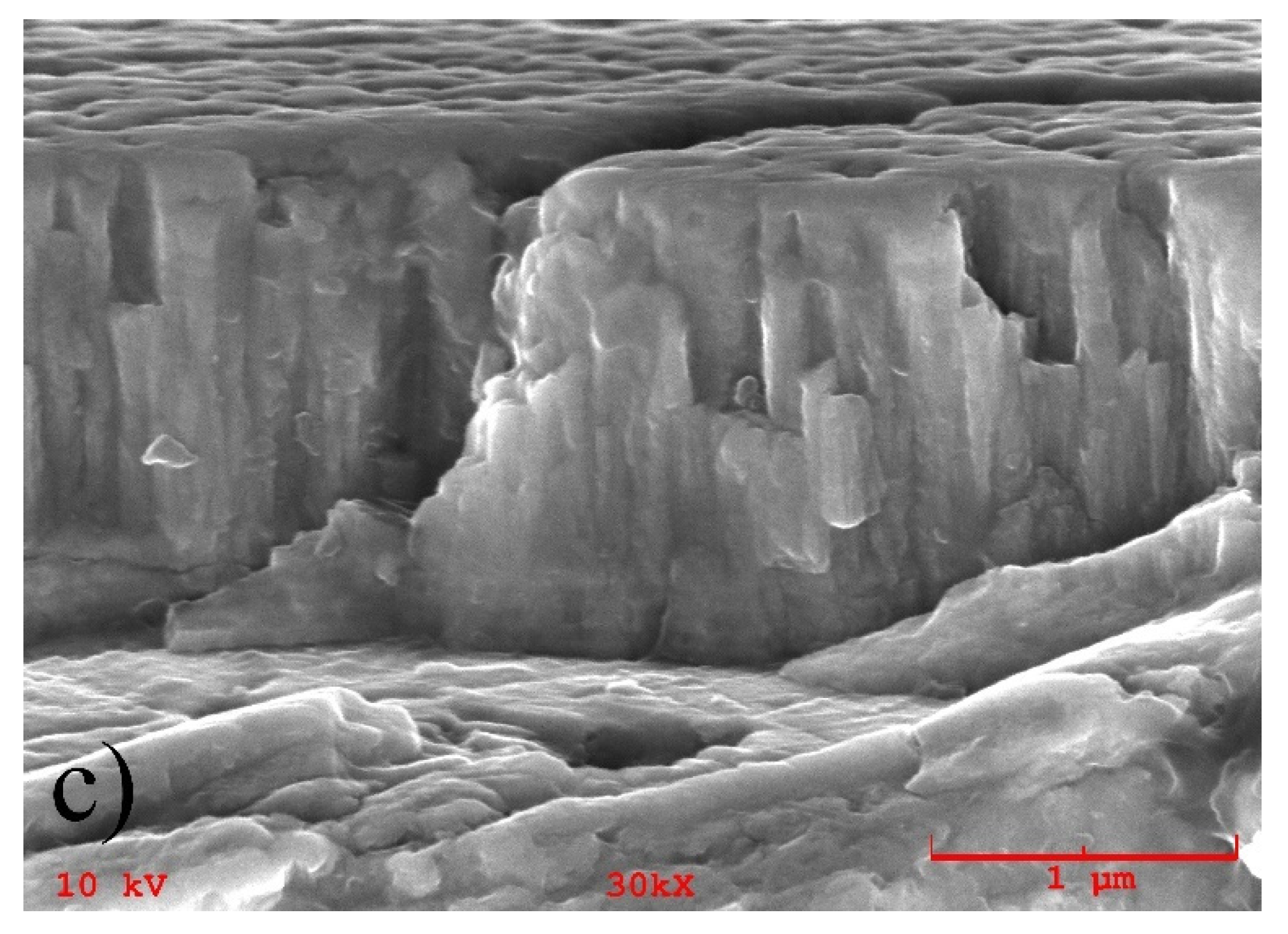 Coatings 12 00300 g007b