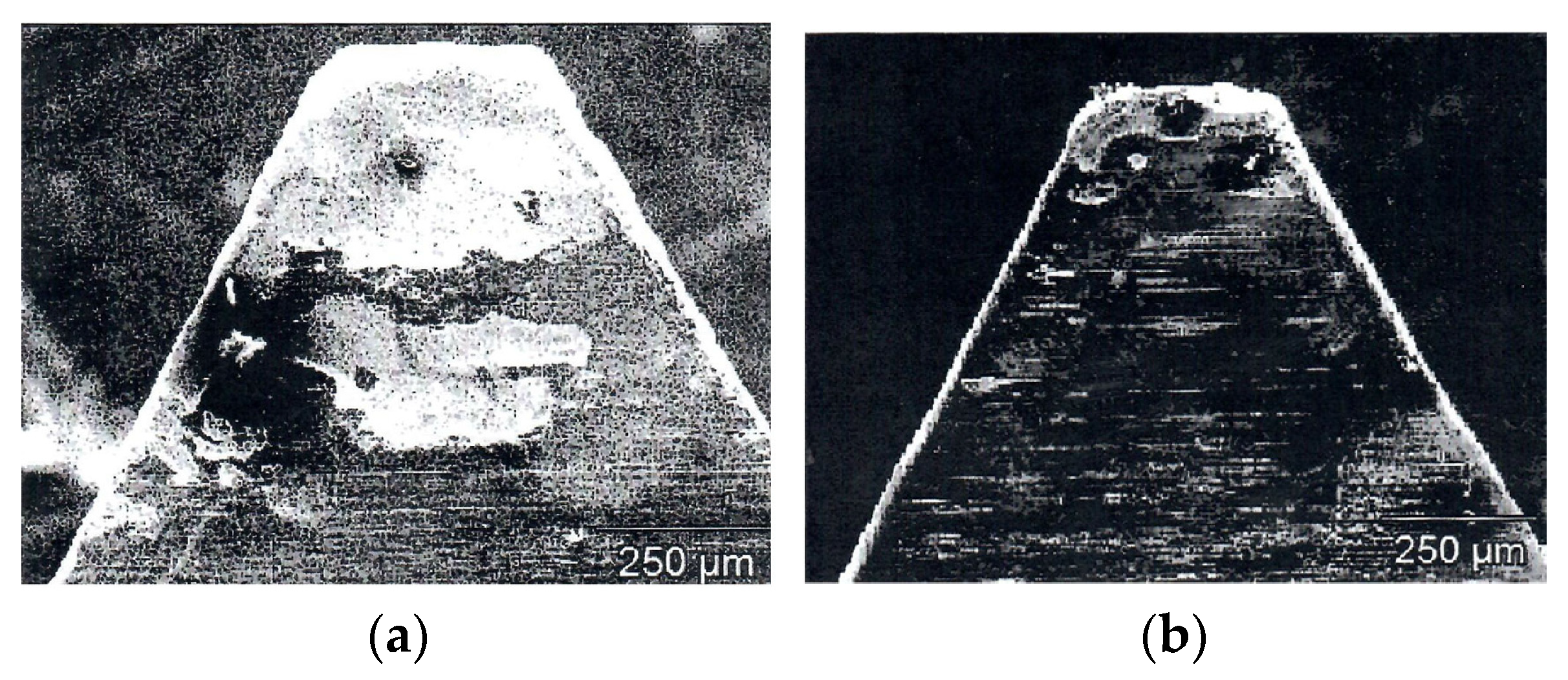 Coatings 12 00300 g011