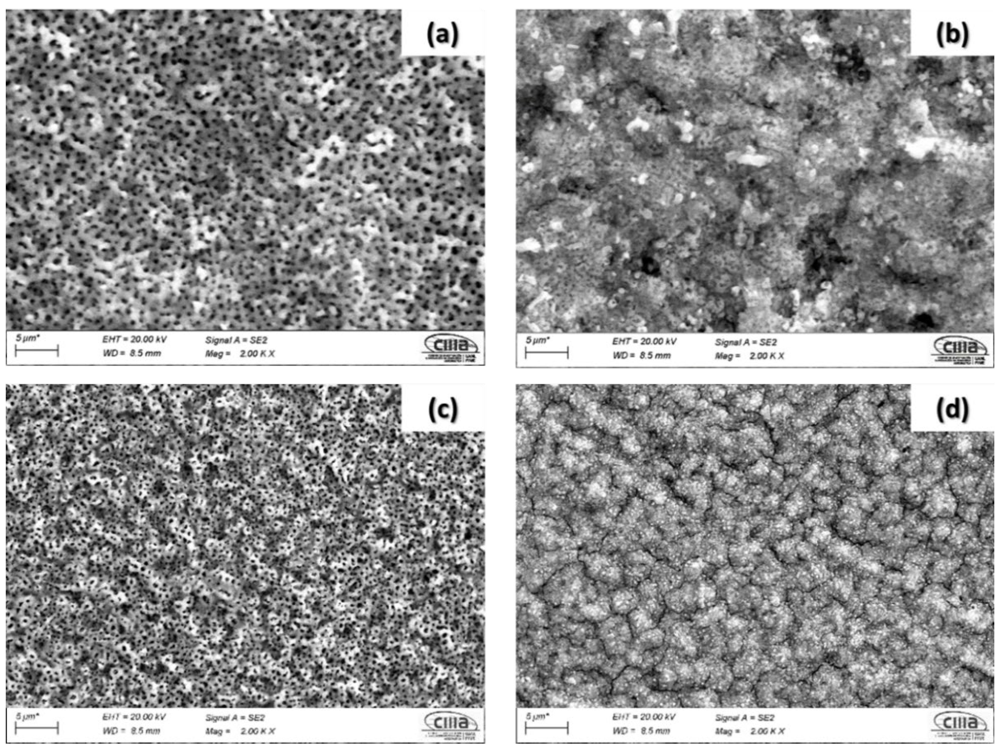 Coatings 12 00325 g003
