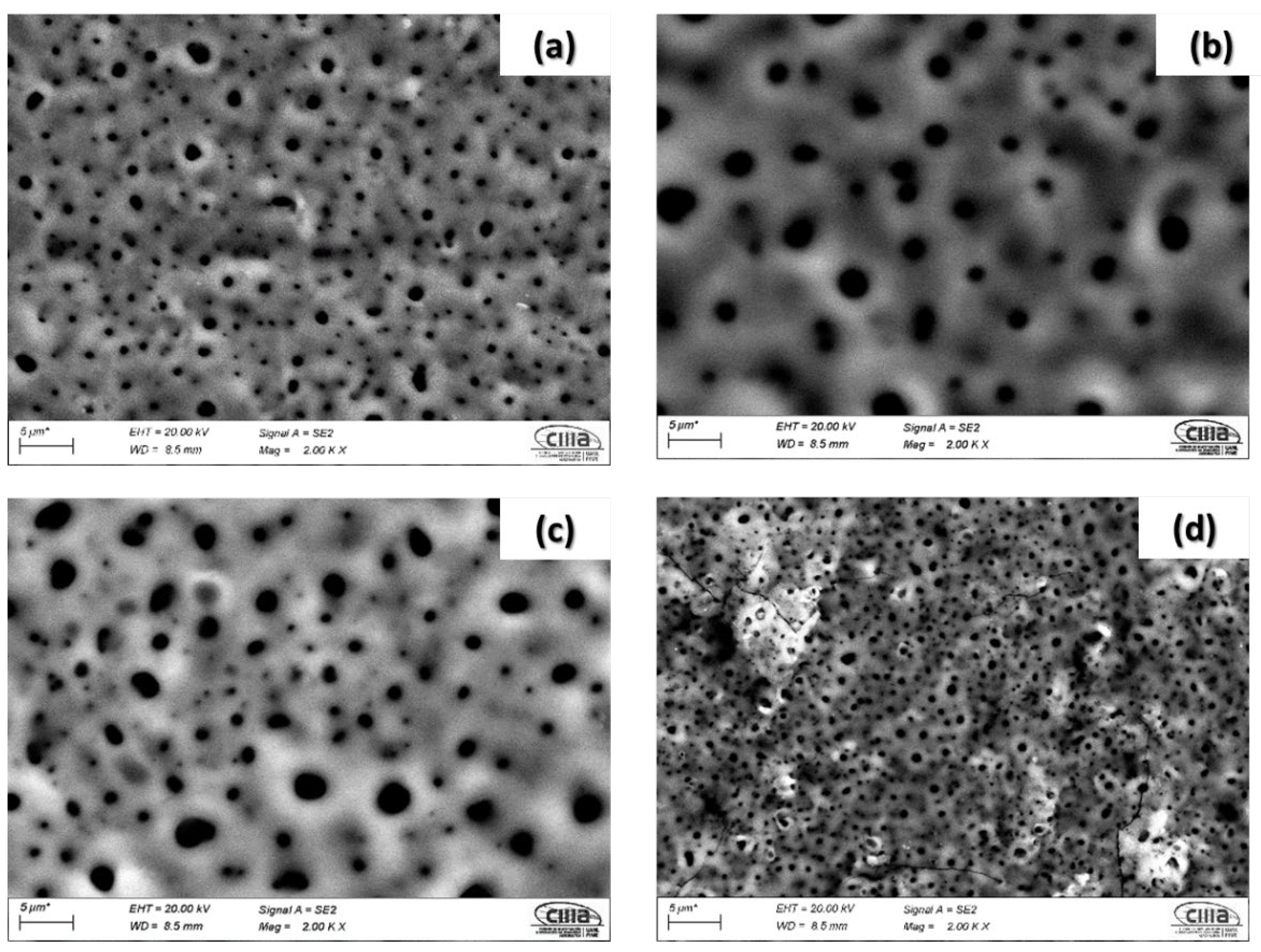 Coatings 12 00325 g004