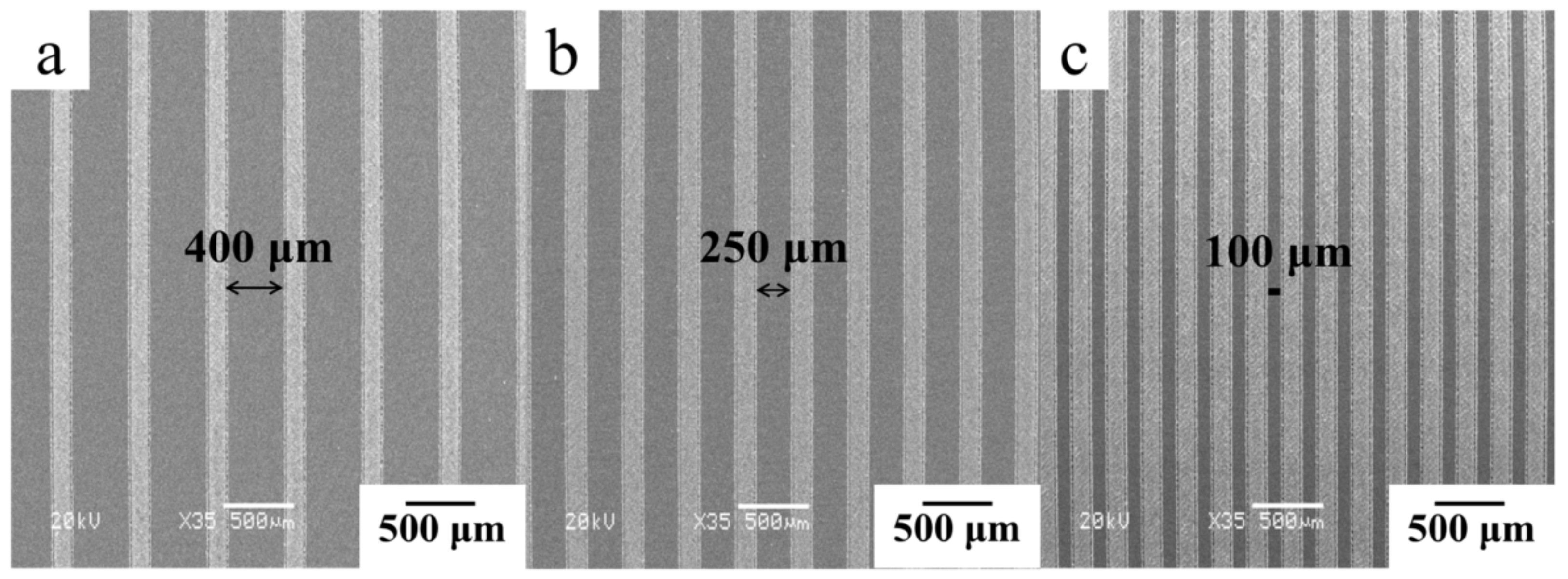 Coatings 12 00332 g001